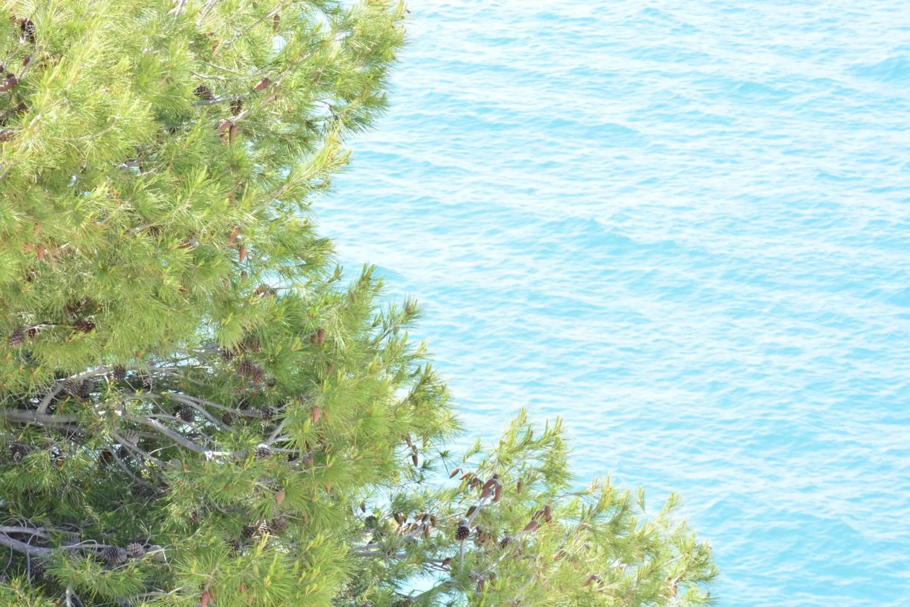 Sea view in Blancos Rooms Hotel