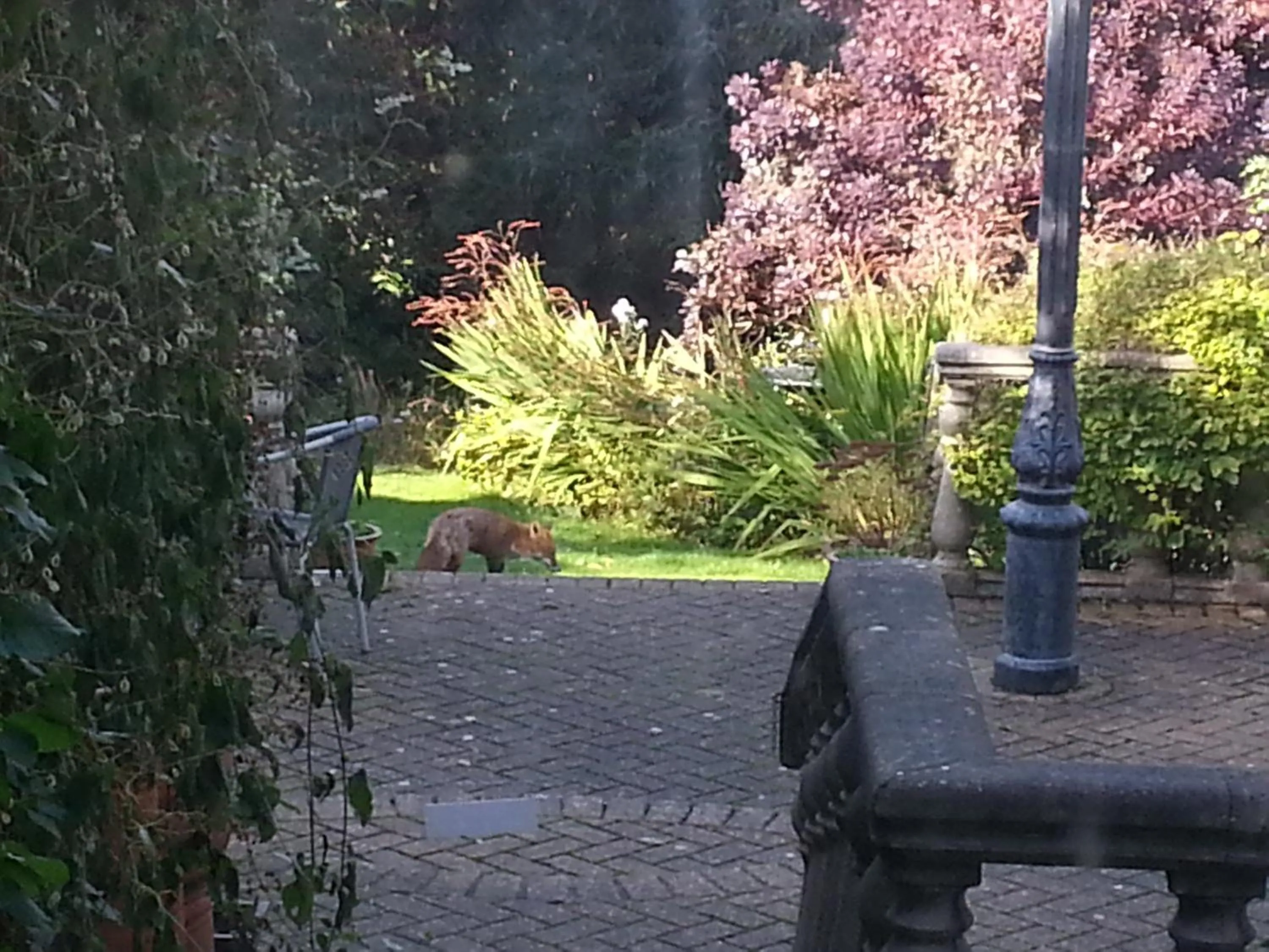 Garden in Tower House 1066