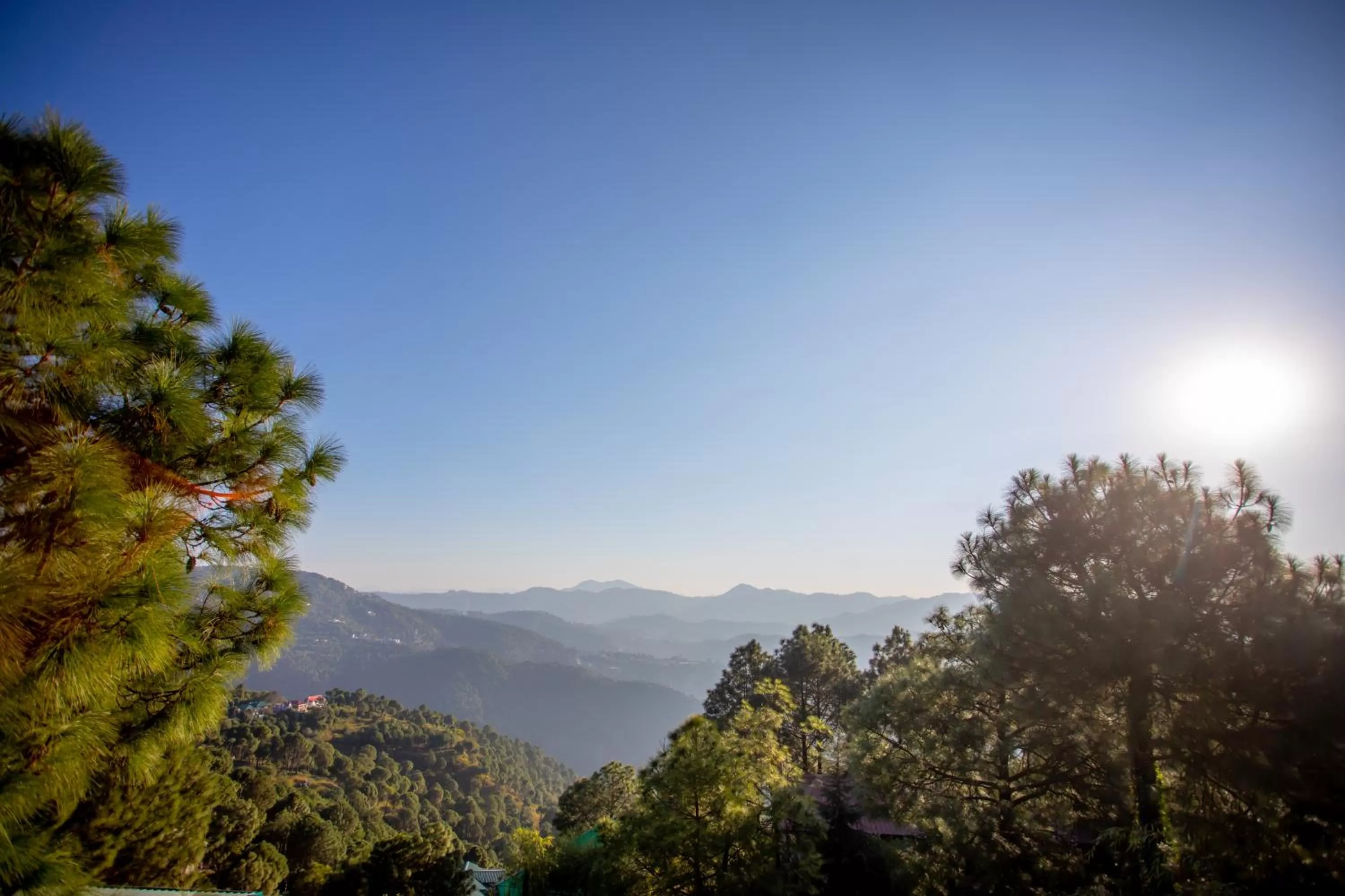 Mountain view in Seclude Kasauli, Himachal Pradesh