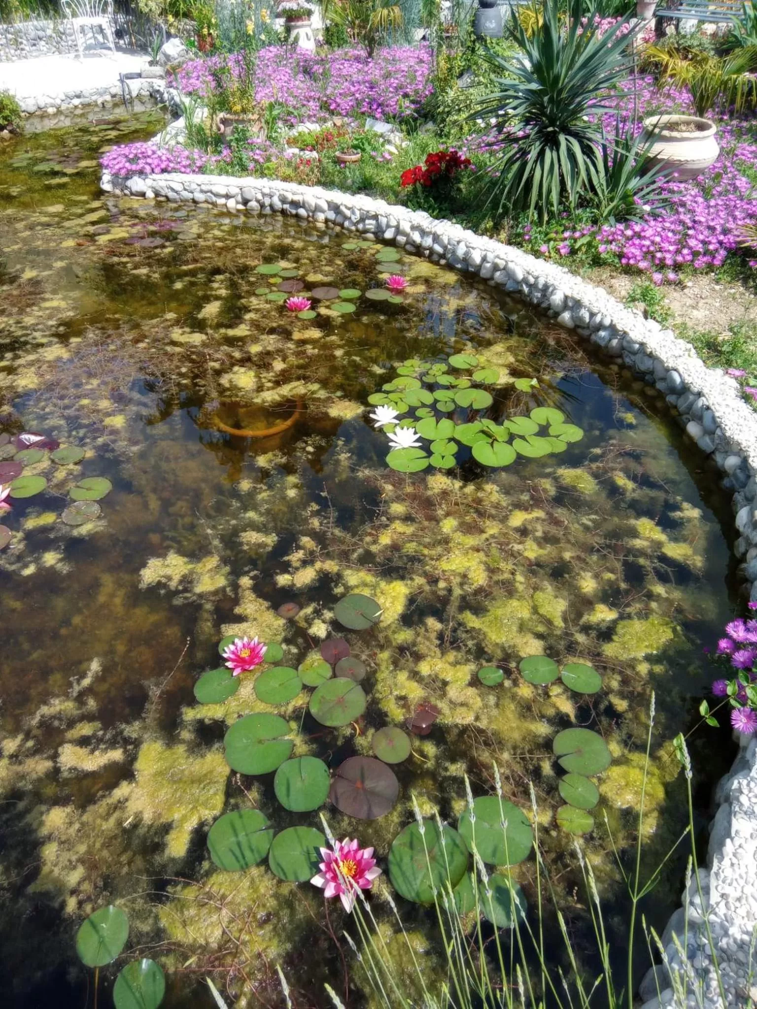 Garden in Villa Fiorita