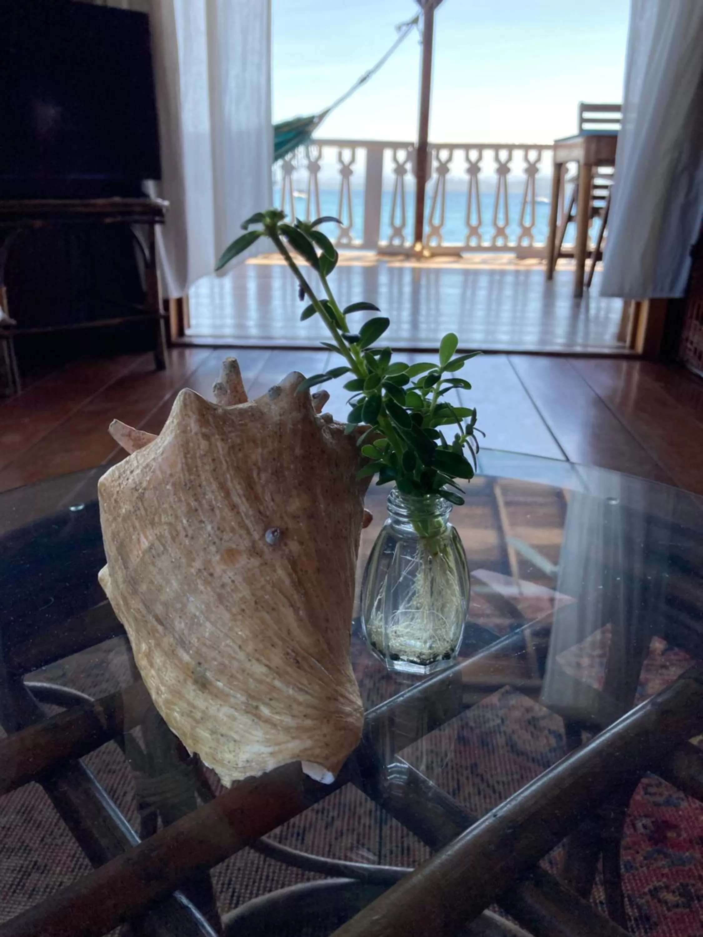 Seating Area in Casa Acuario Boutique Hotel