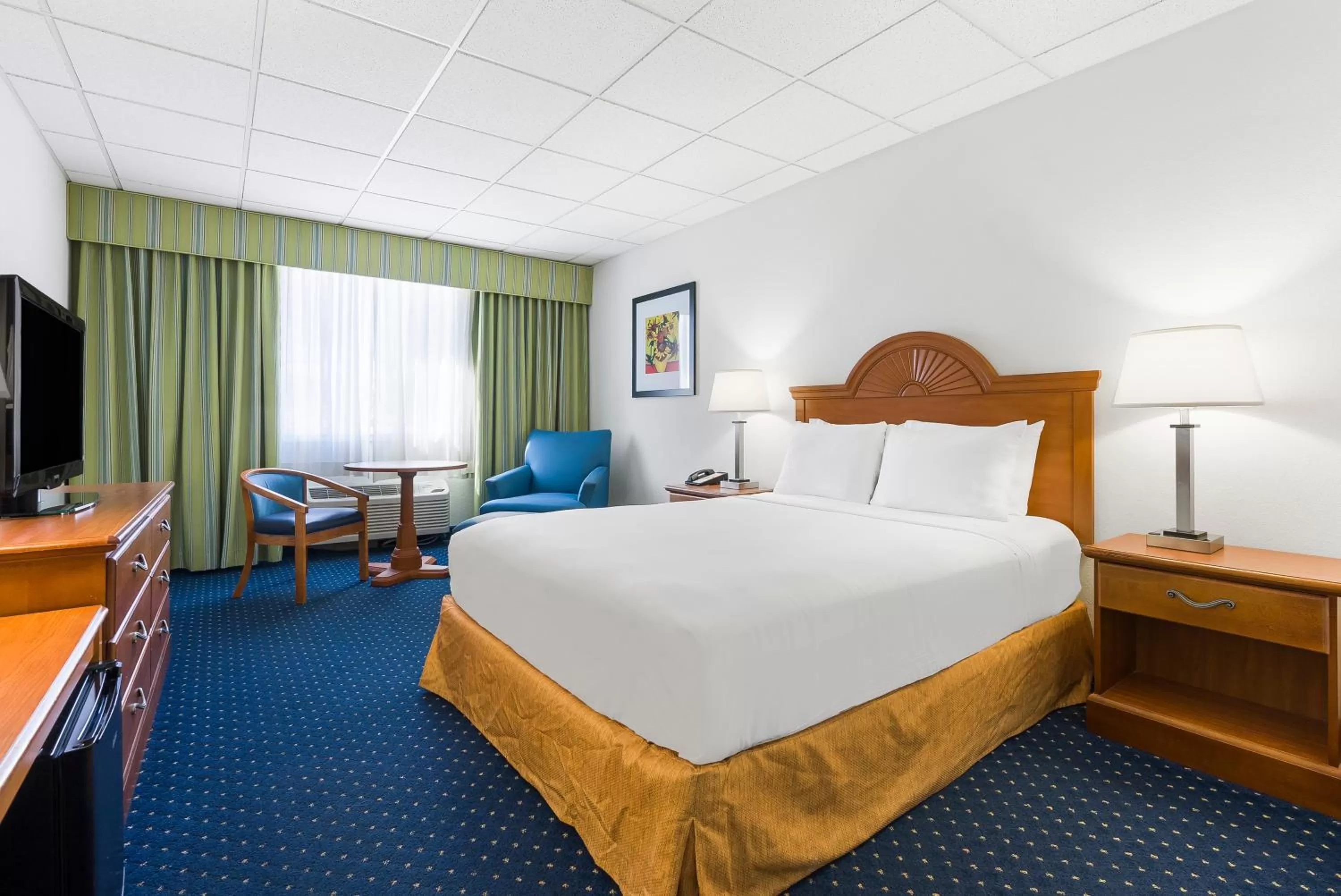 Single Queen - Accessible Bathtub in Thousand Hills Resort Hotel