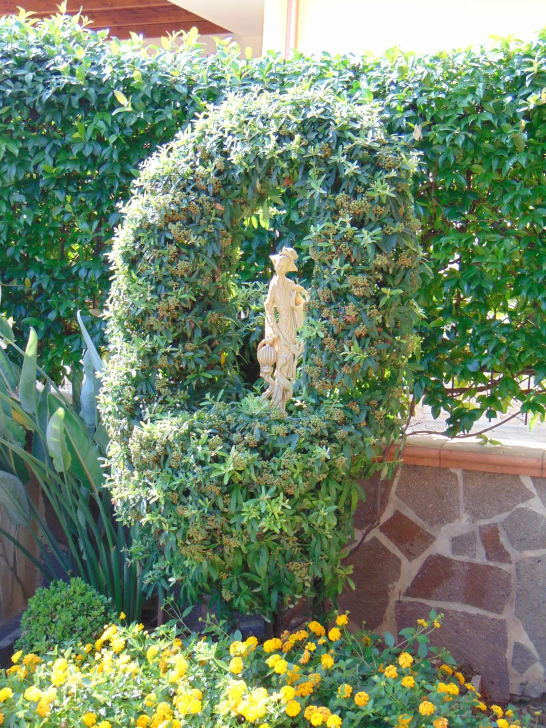 Garden in Villa Celeste B&B