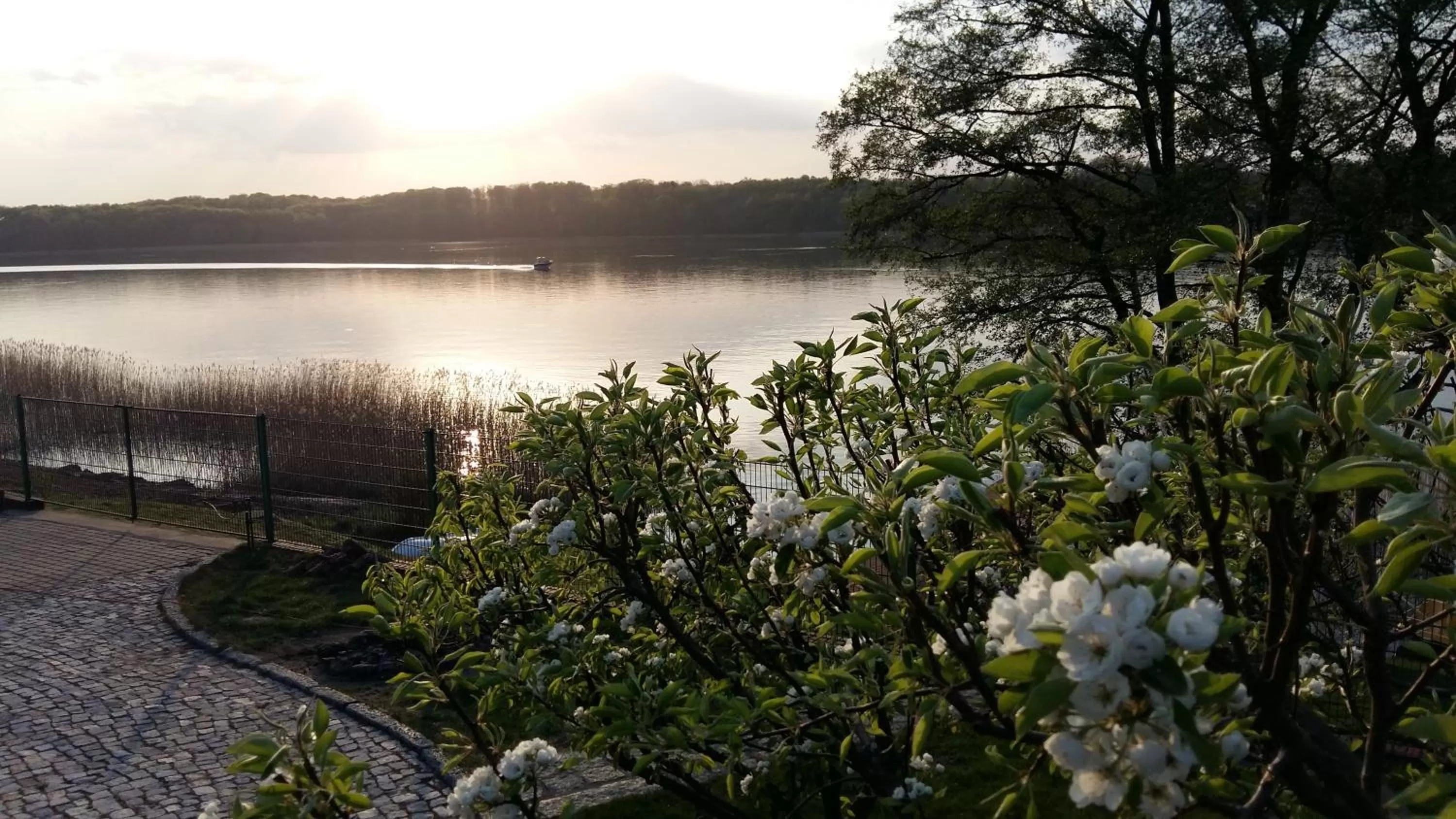 Natural landscape in Port Jeziorak