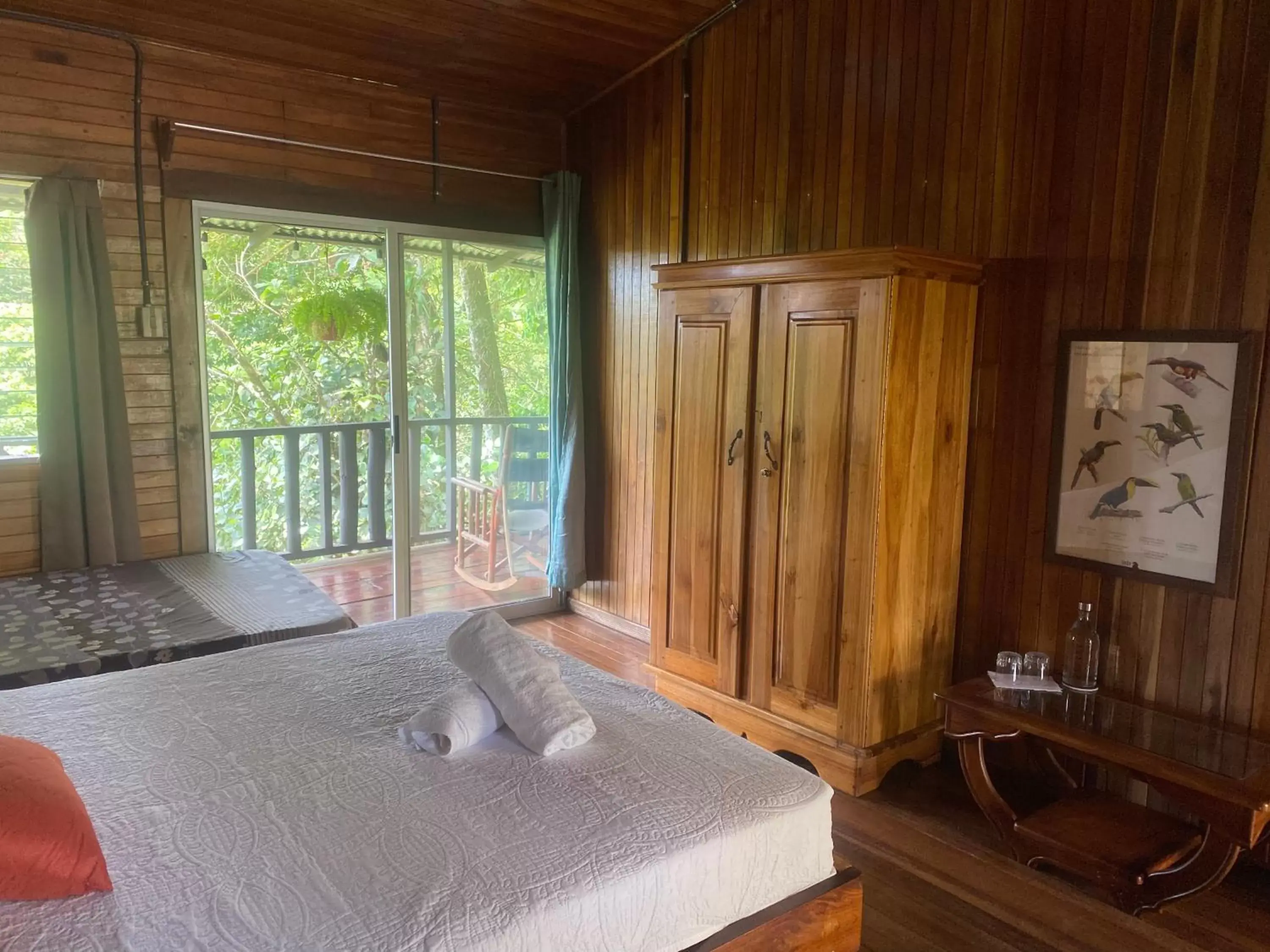 Twin Room with Terrace in Birds & Breakfast Costa Rica Twin Room with Terrace in Birds & Breakfast Costa Rica