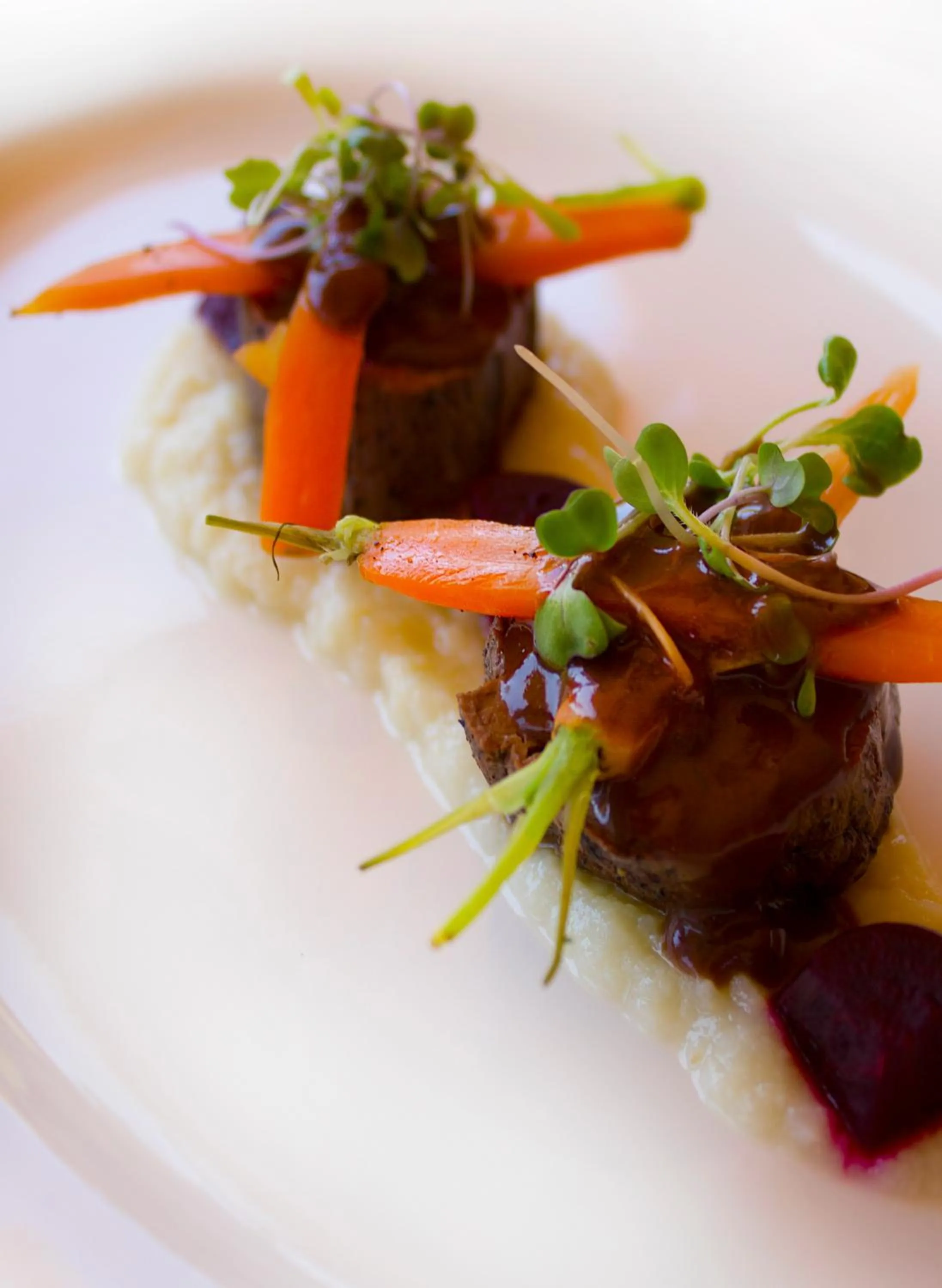 Food close-up in Sanbona Wildlife Reserve