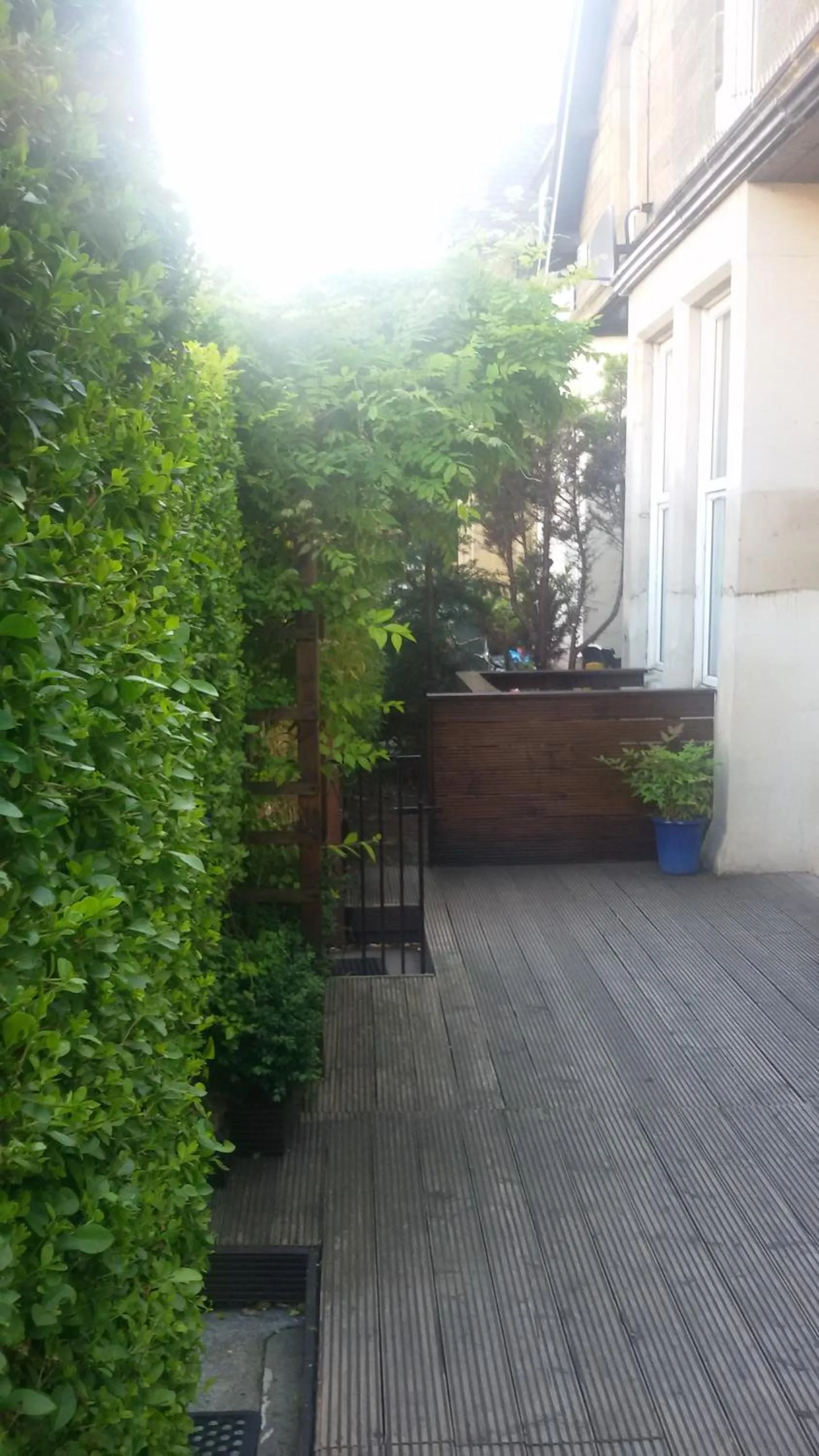 Patio in Leith House