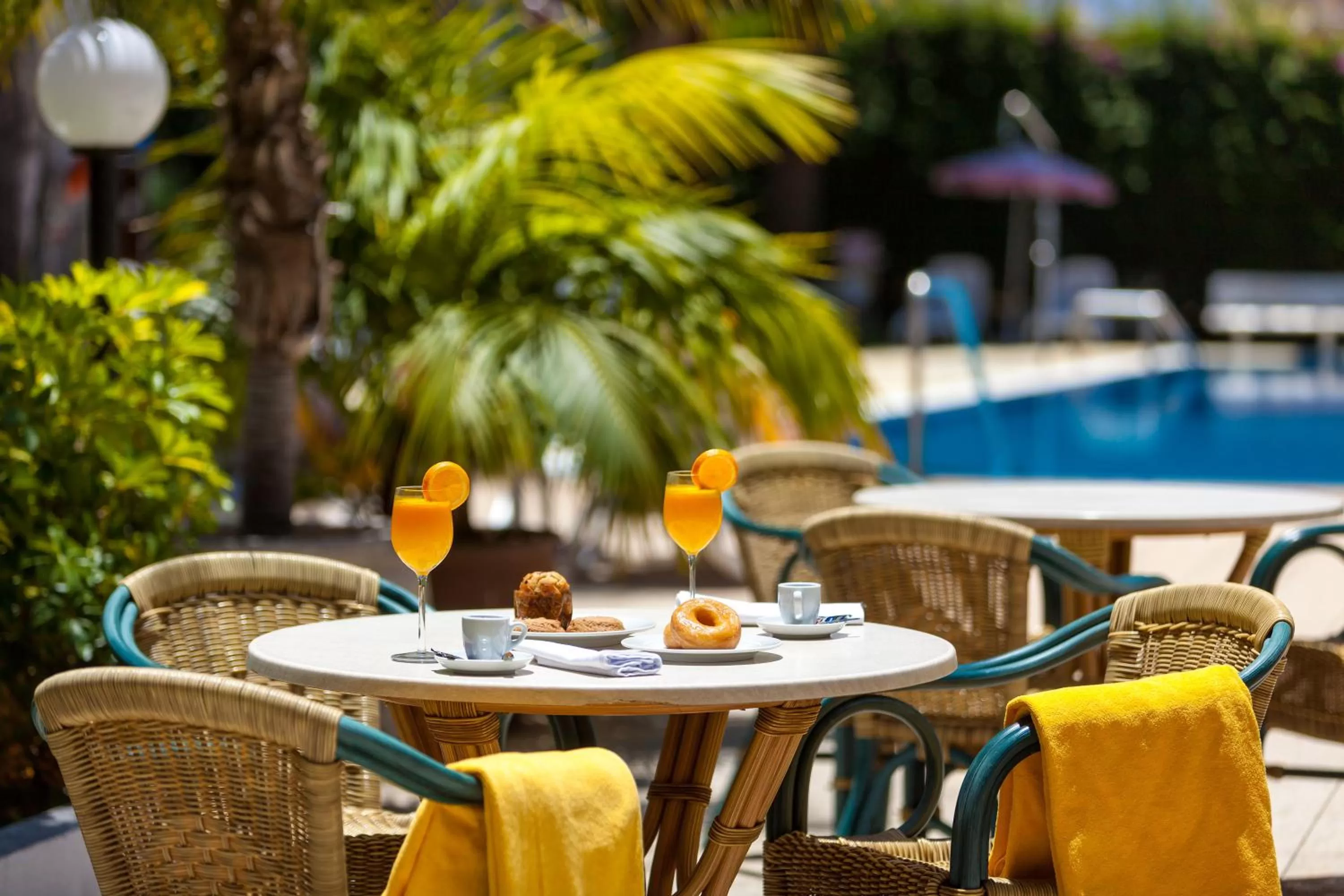 Garden in Apartamentos Masaru