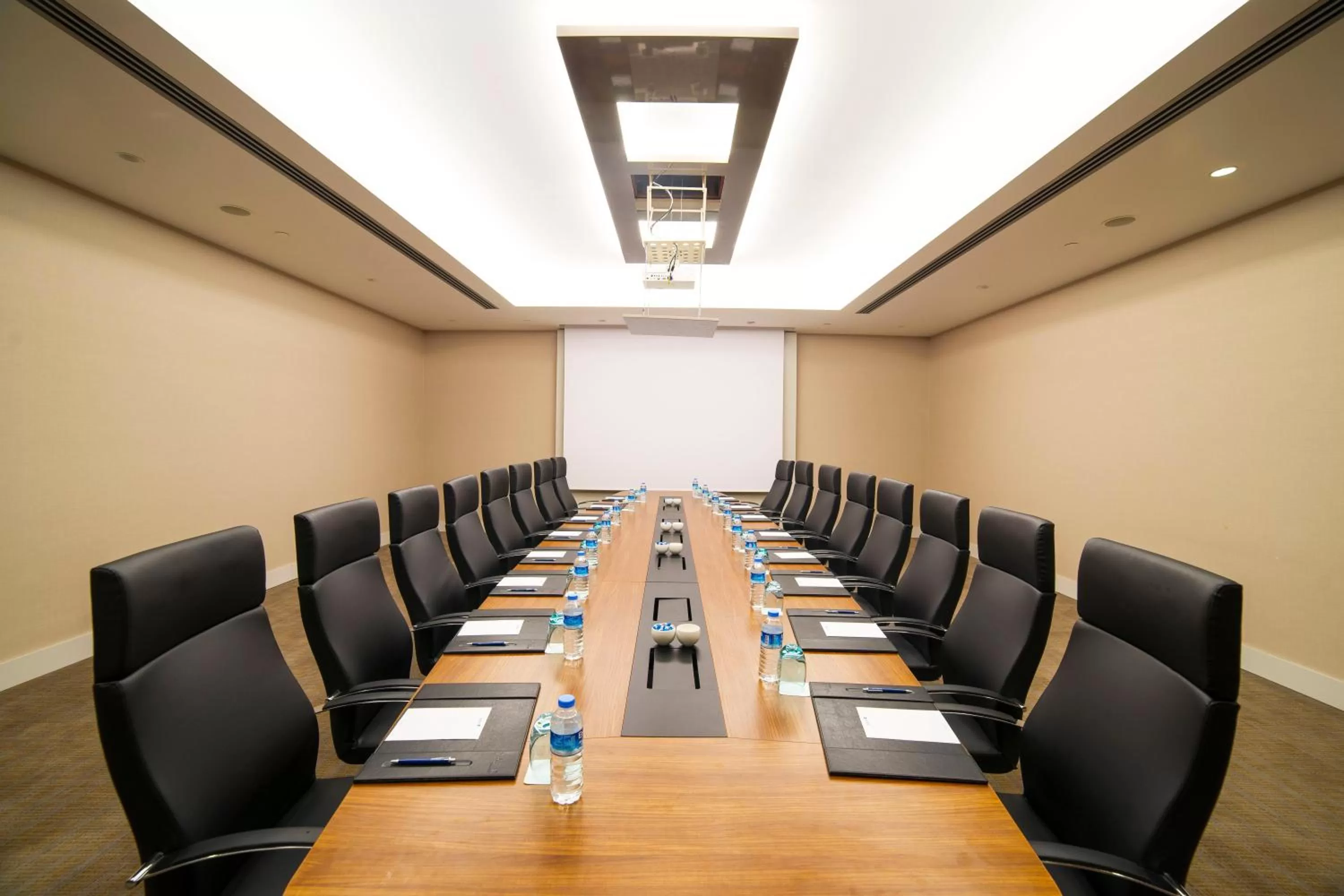 Meeting/conference room in Radisson Blu Hotel, Kayseri