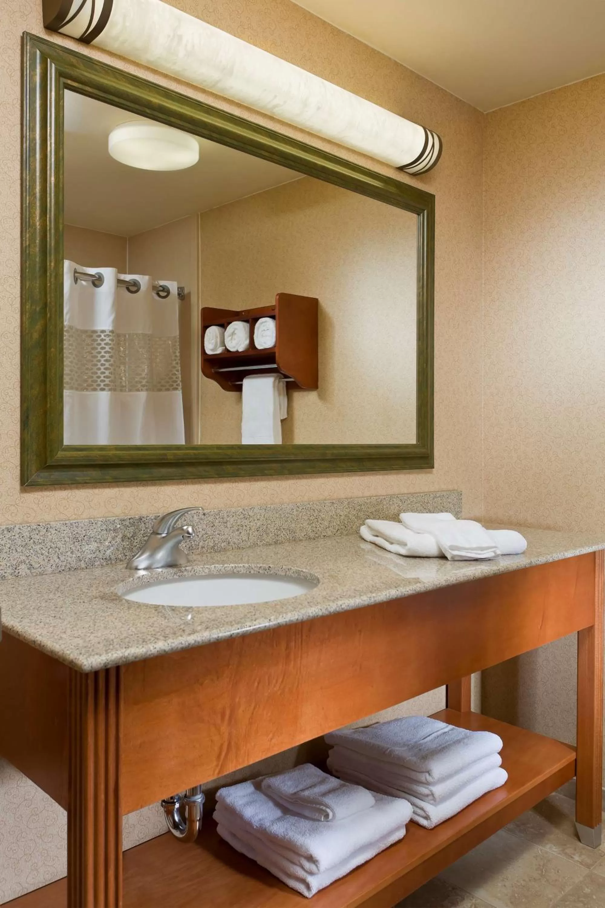 Bathroom in Hampton Inn Minneapolis-Burnsville