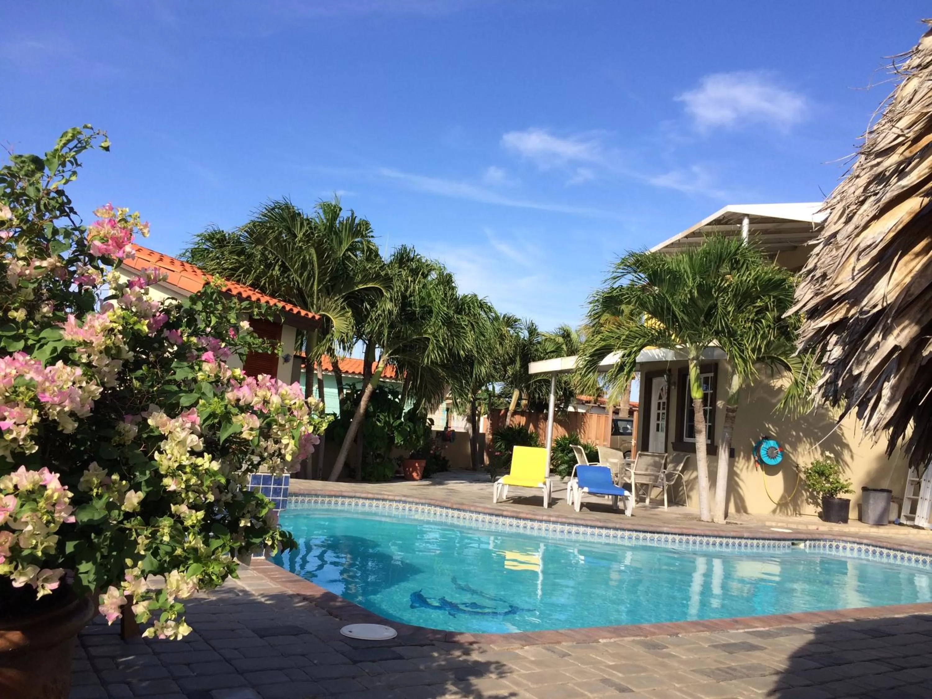 Other, Swimming Pool in La Felicidad