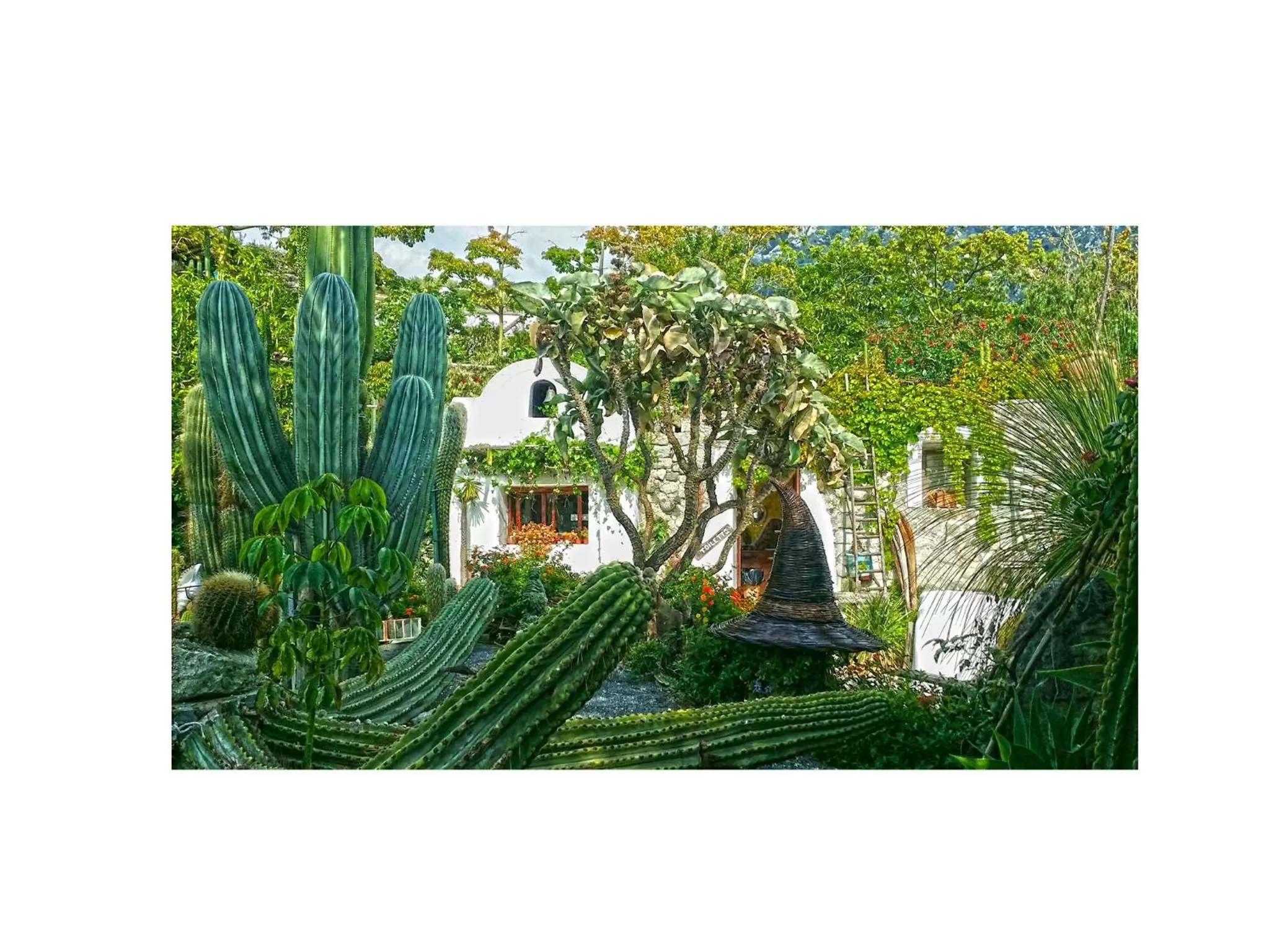 Garden in Villa Ravino Aparthotel