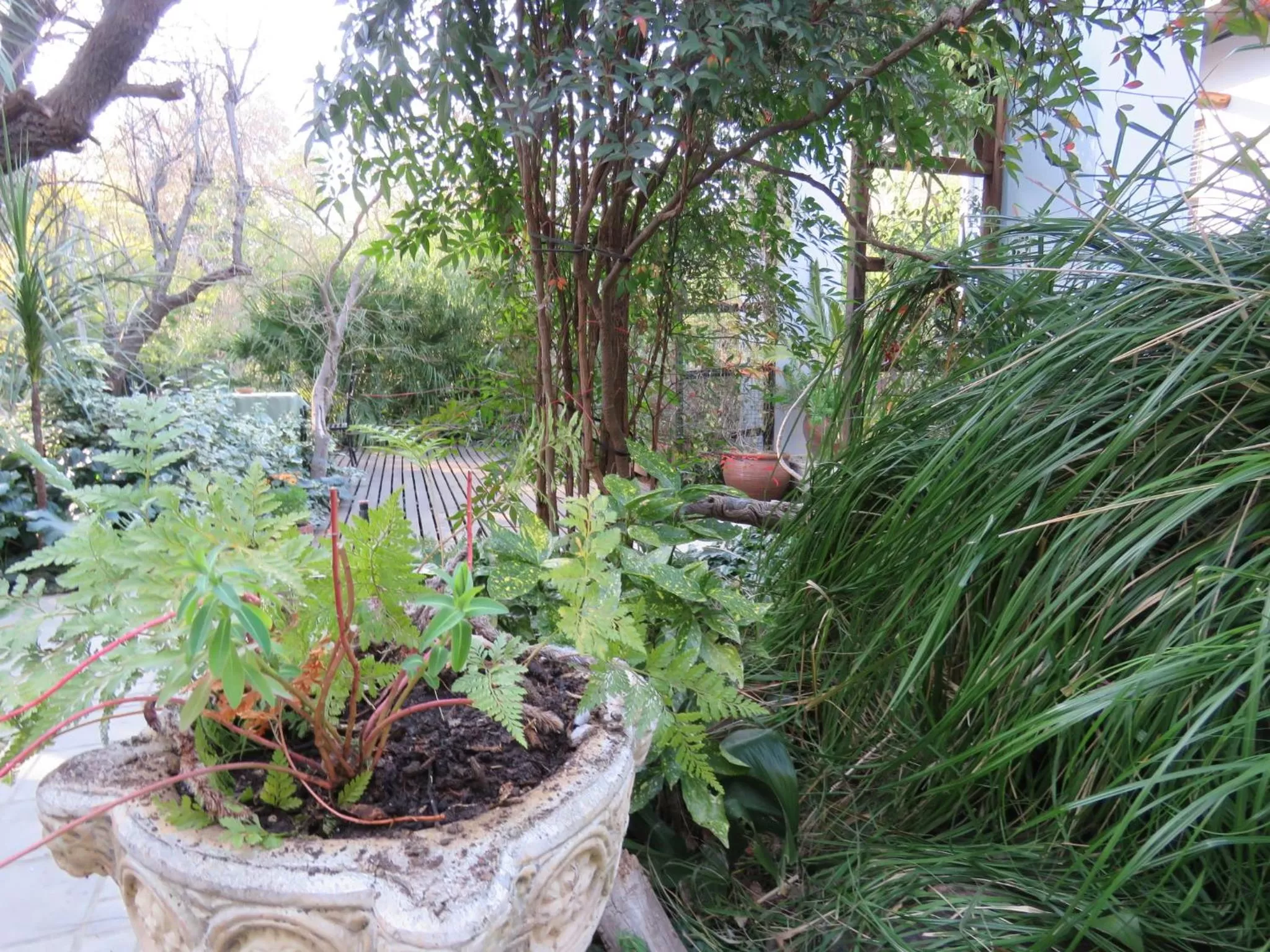 Natural landscape in Jedidja Bed and Breakfast