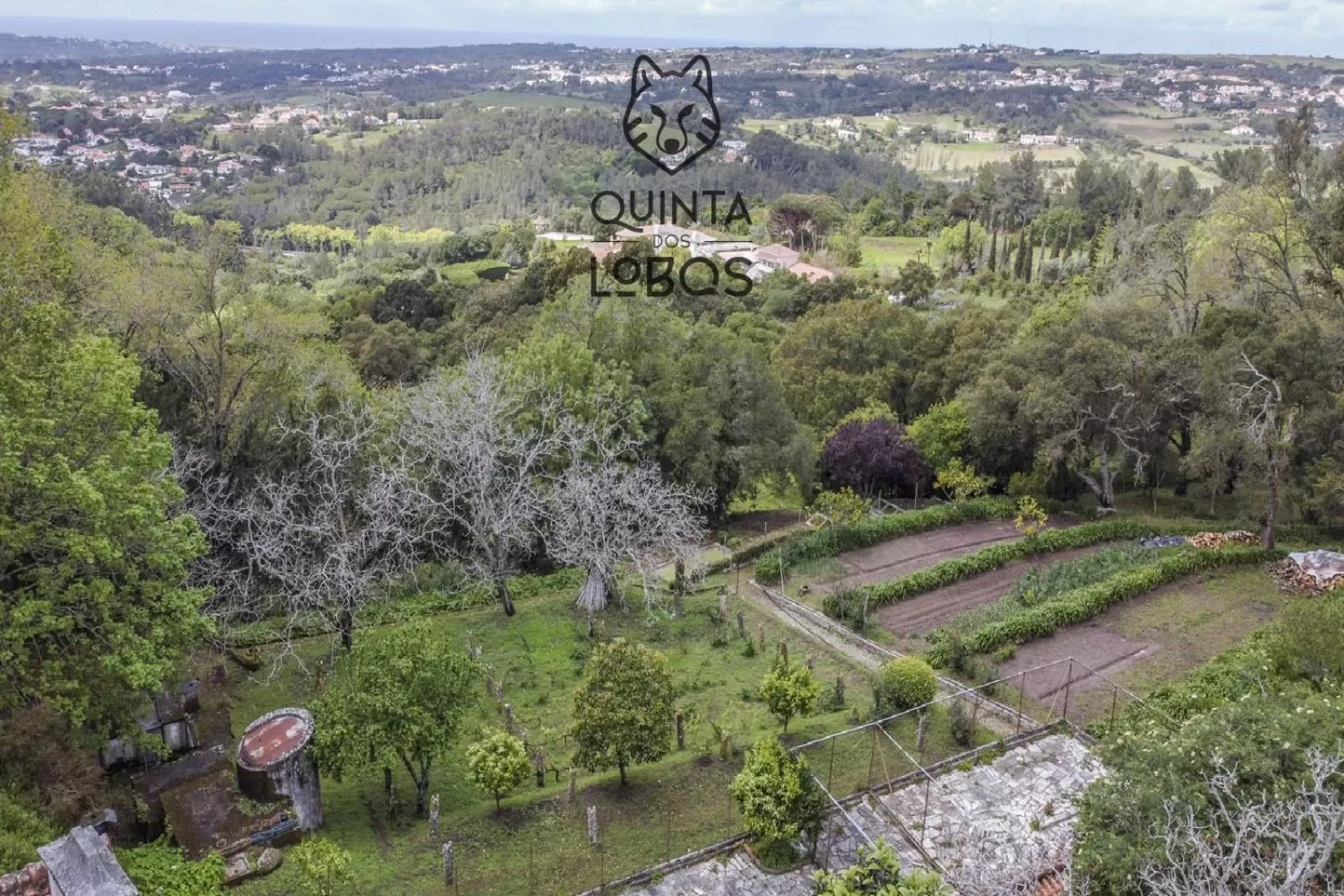 Natural landscape in Quinta dos Lobos Boutique Hotel - Nature Experience