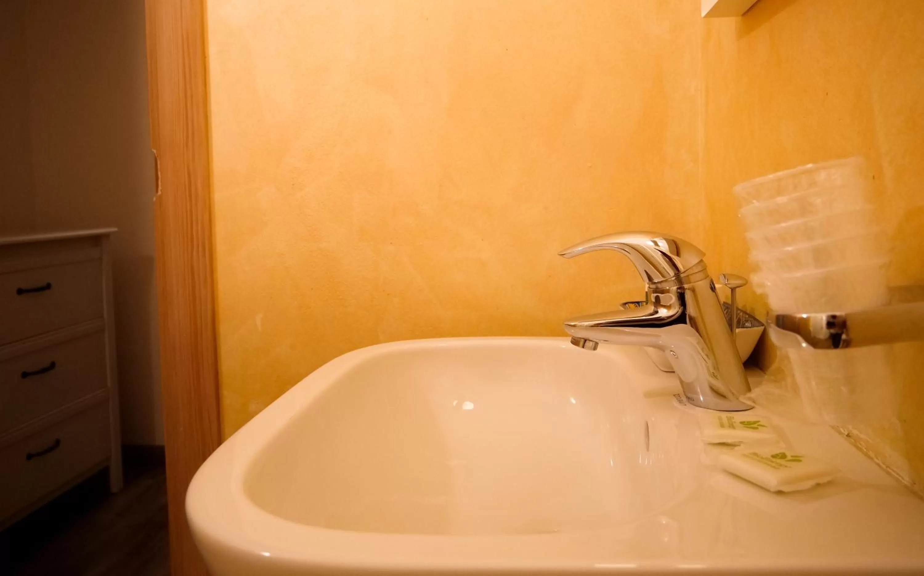 Victoria Royal Garden