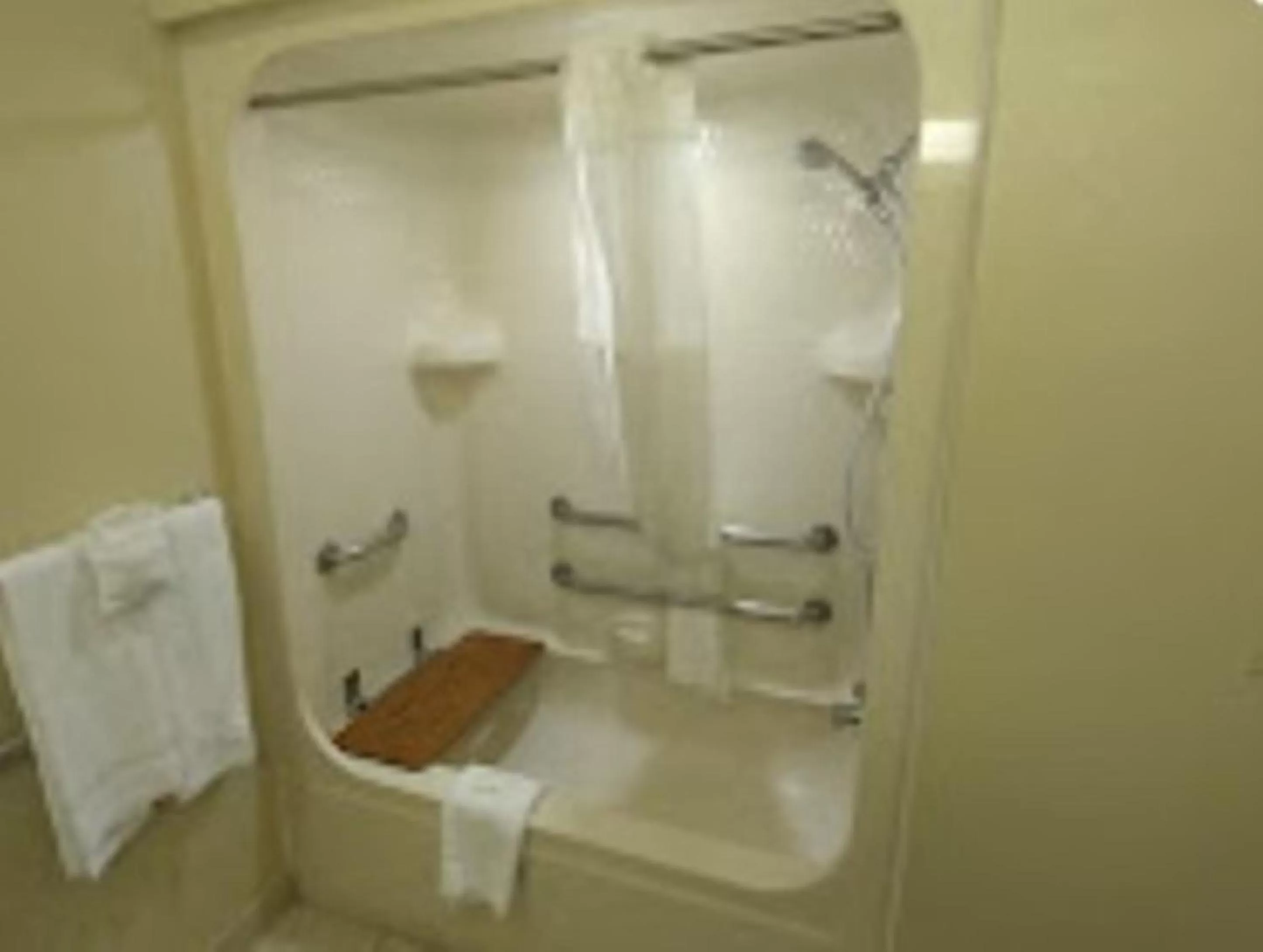 Bathroom in Quality Inn & Suites Roanoke - Fort Worth North