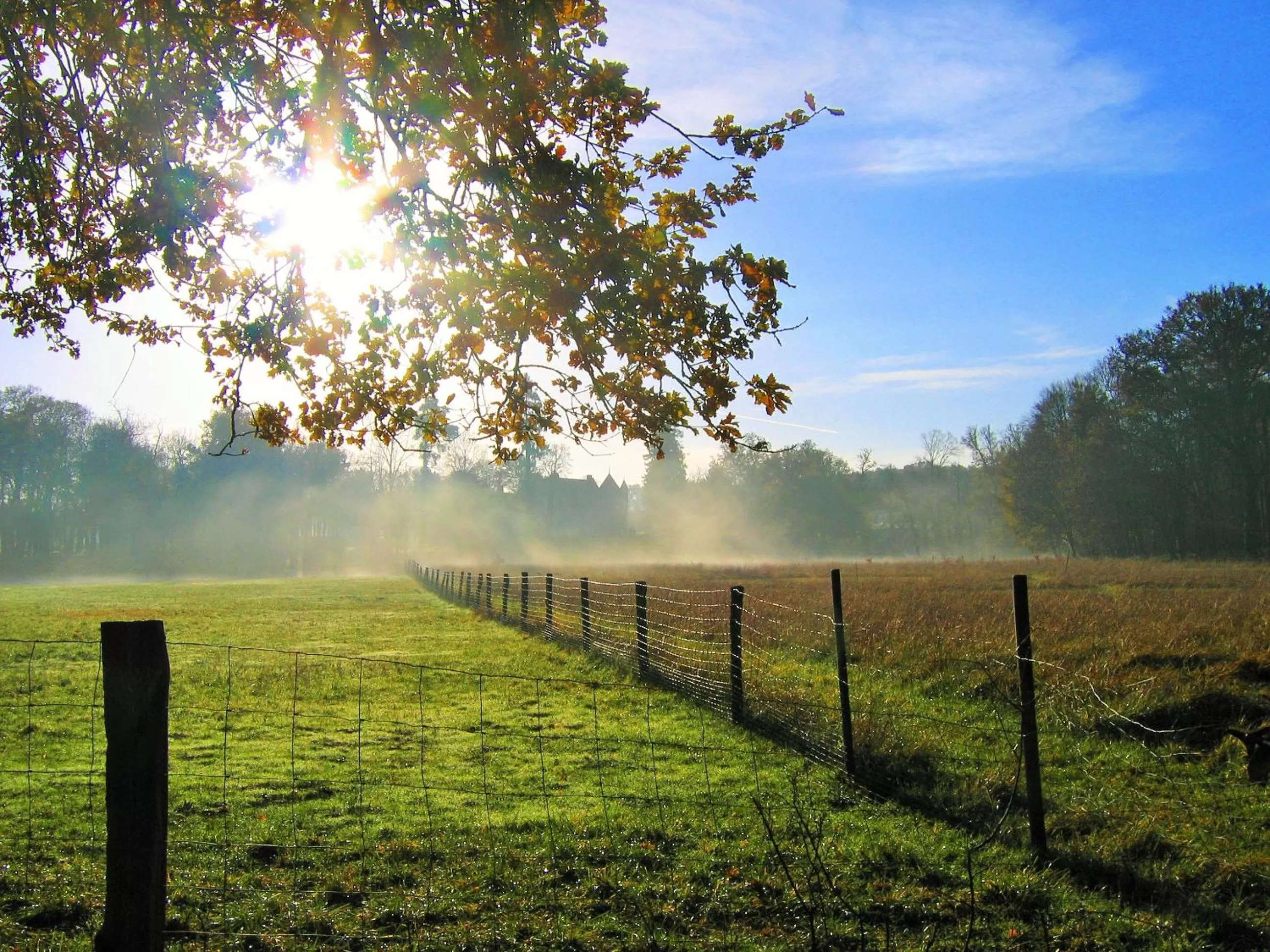 Natural landscape in Manoir de la Rémonière