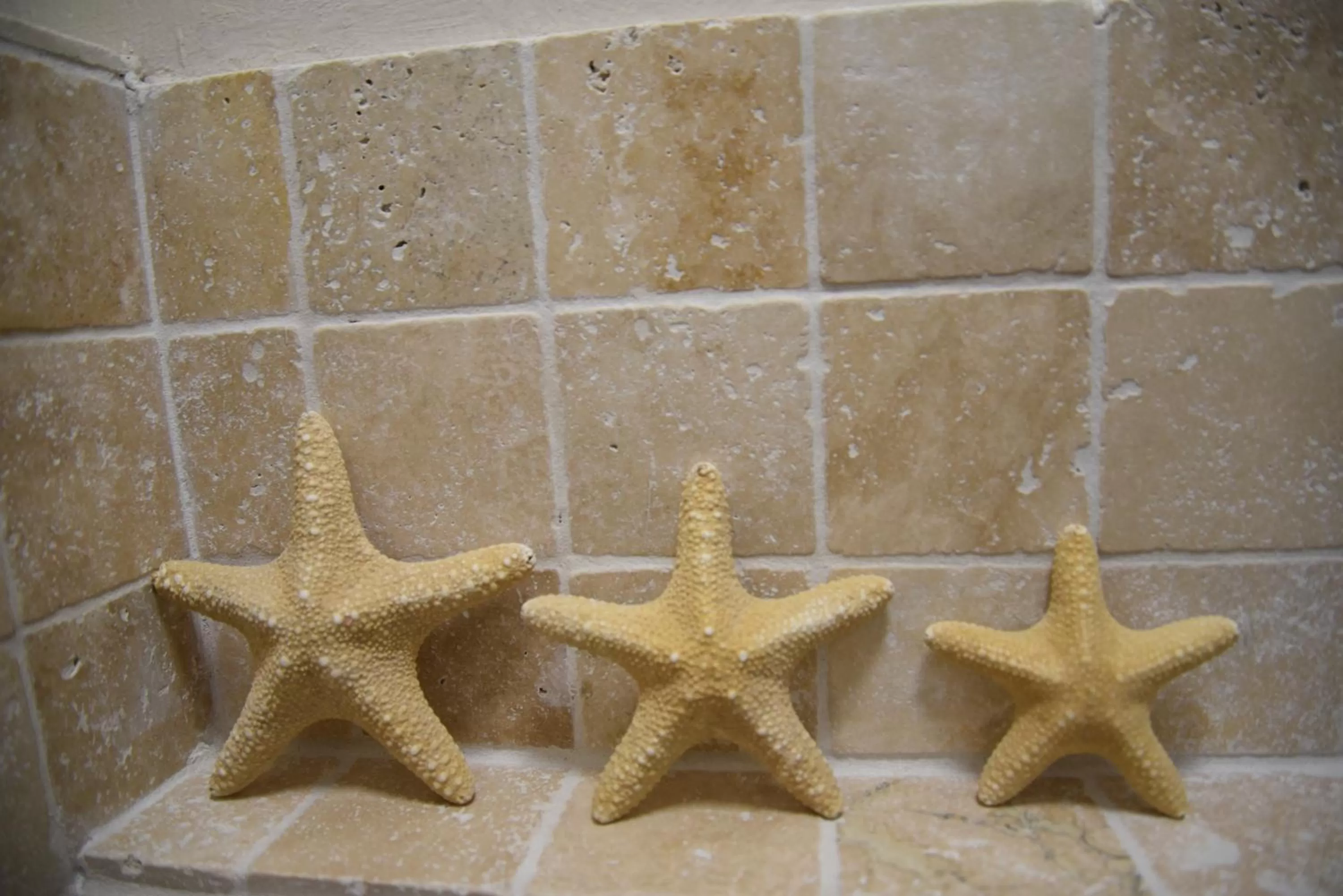 Toilet, Other Animals in Chambre d'hôtes Cottes