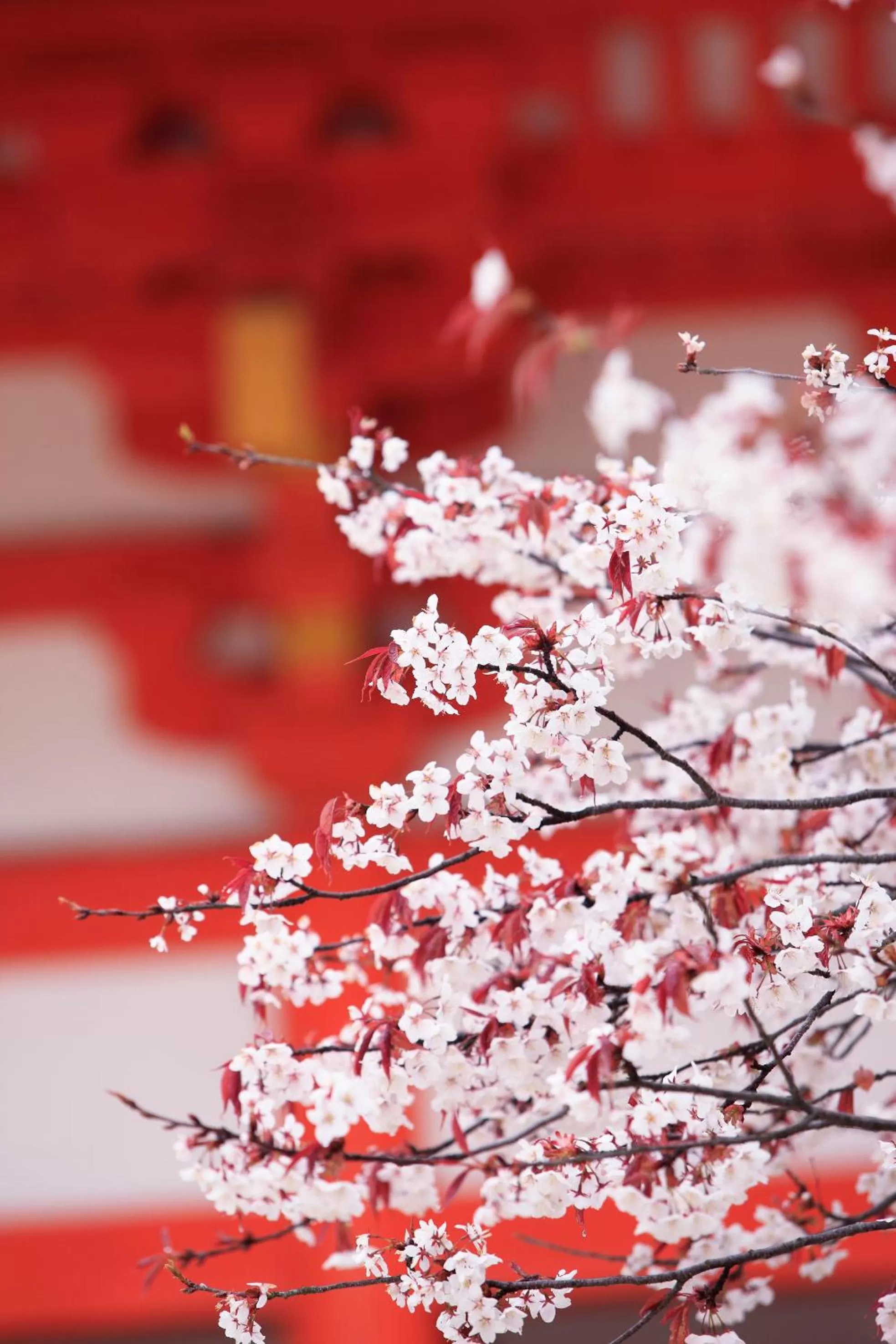 Nearby landmark in Urban Hotel Kyoto