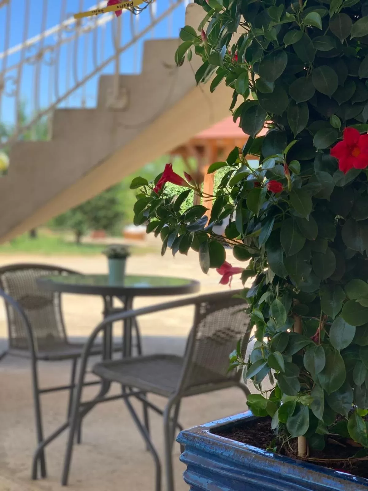 Patio in Appart'Hôtel Auxerre