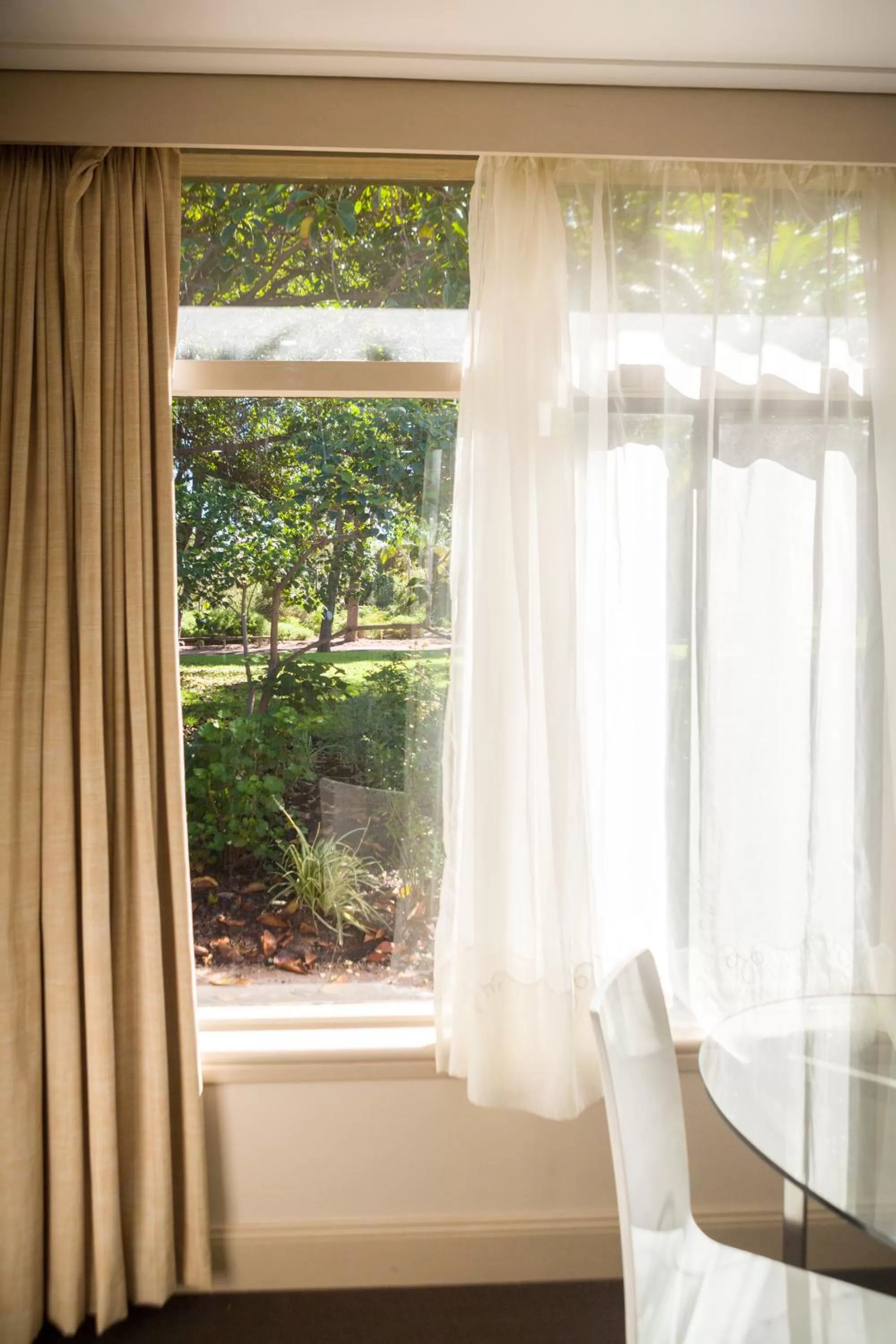Garden, View in Foreshore Motor Inn