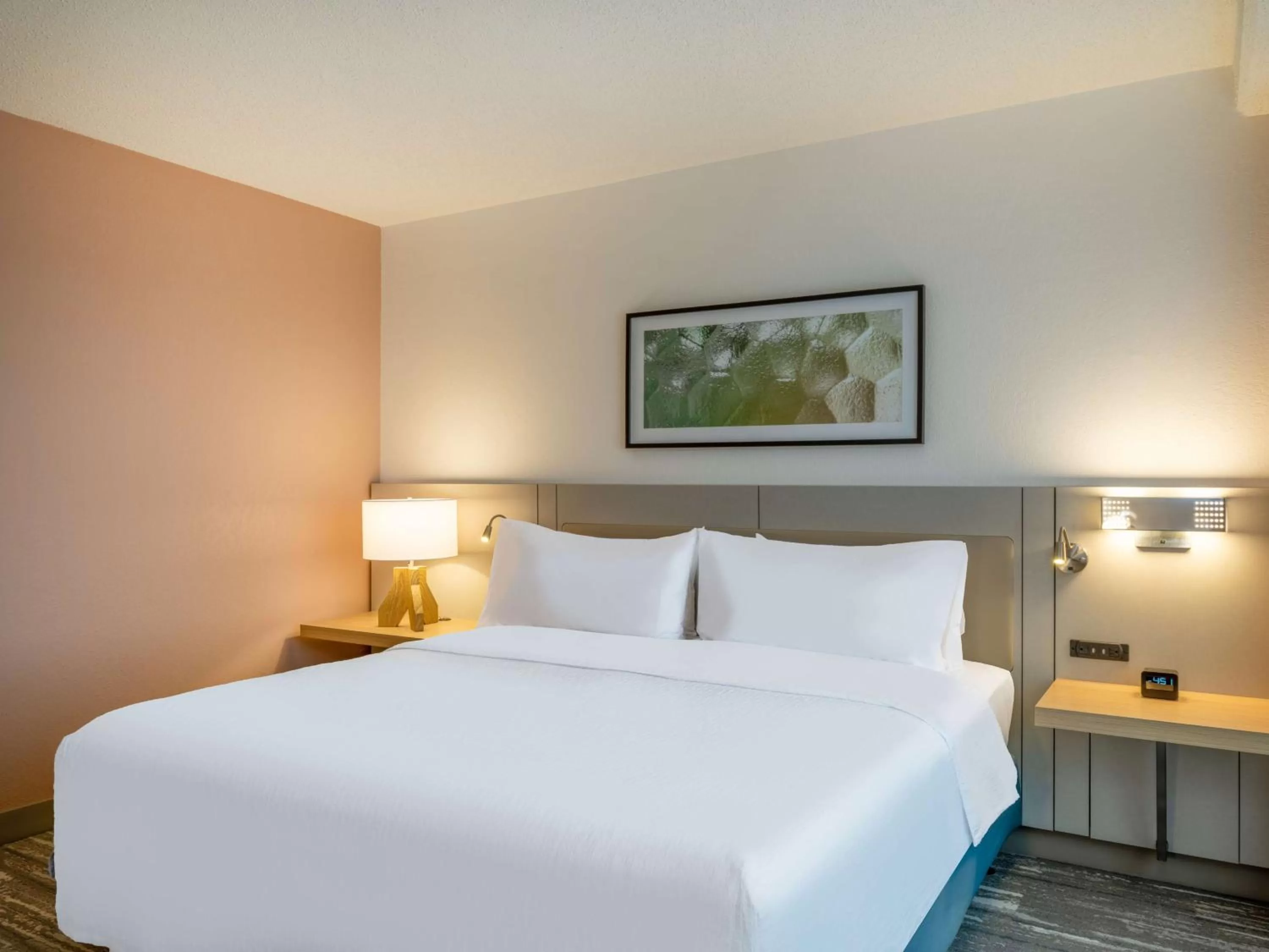 Bed in Hilton Garden Inn Toledo Downtown