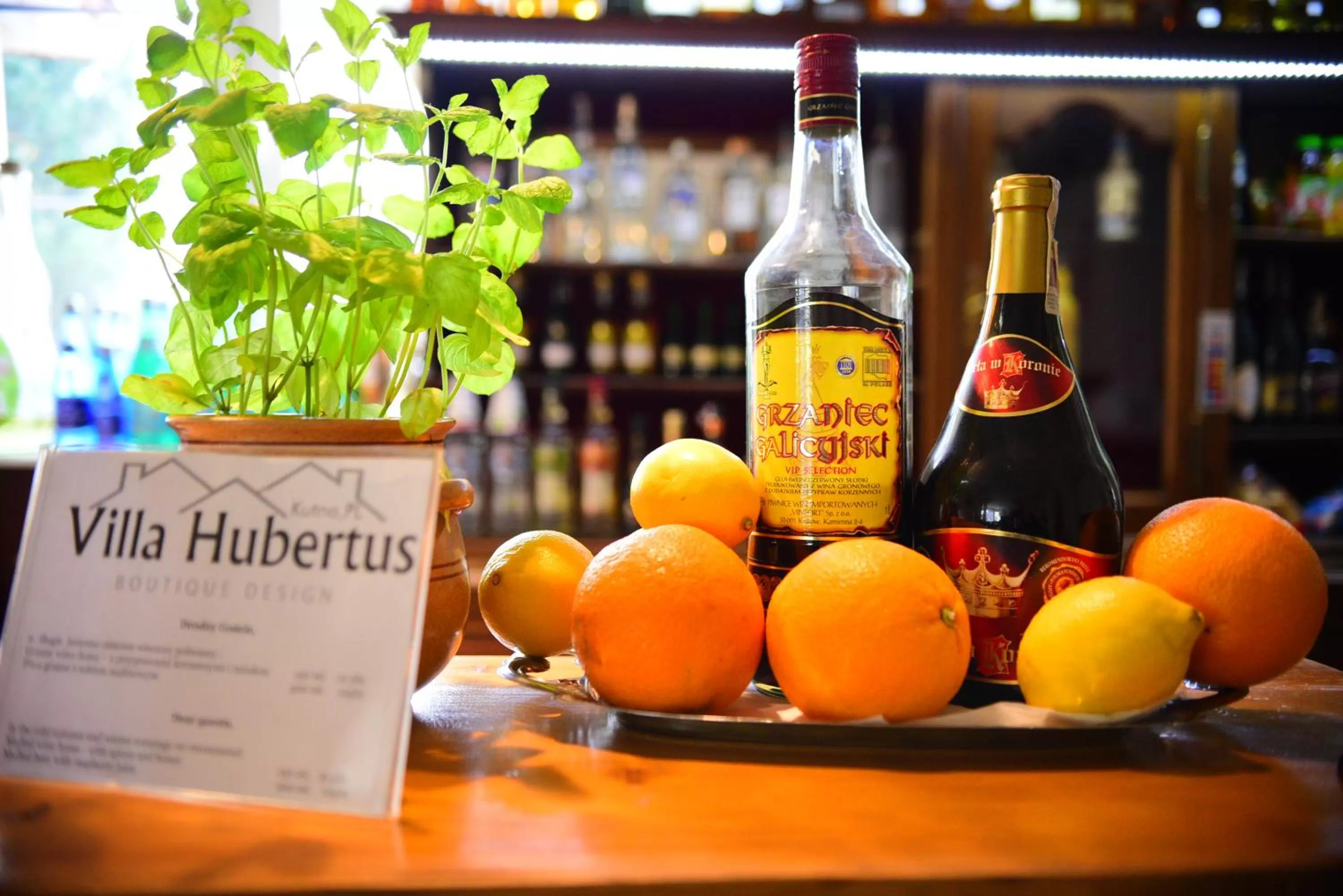 Lounge or bar in Hotel Villa Hubertus Kutno