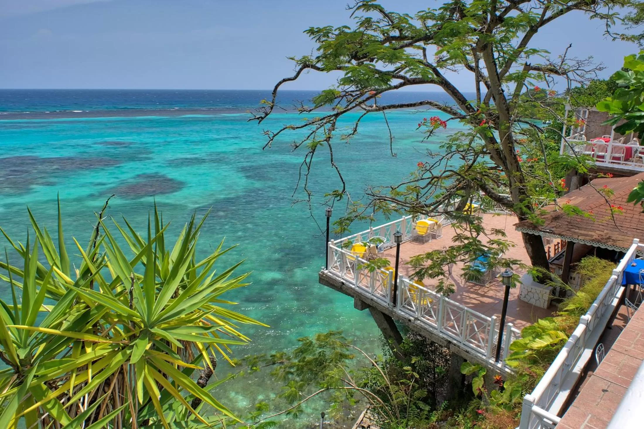 Restaurant/places to eat in Hibiscus Lodge Hotel