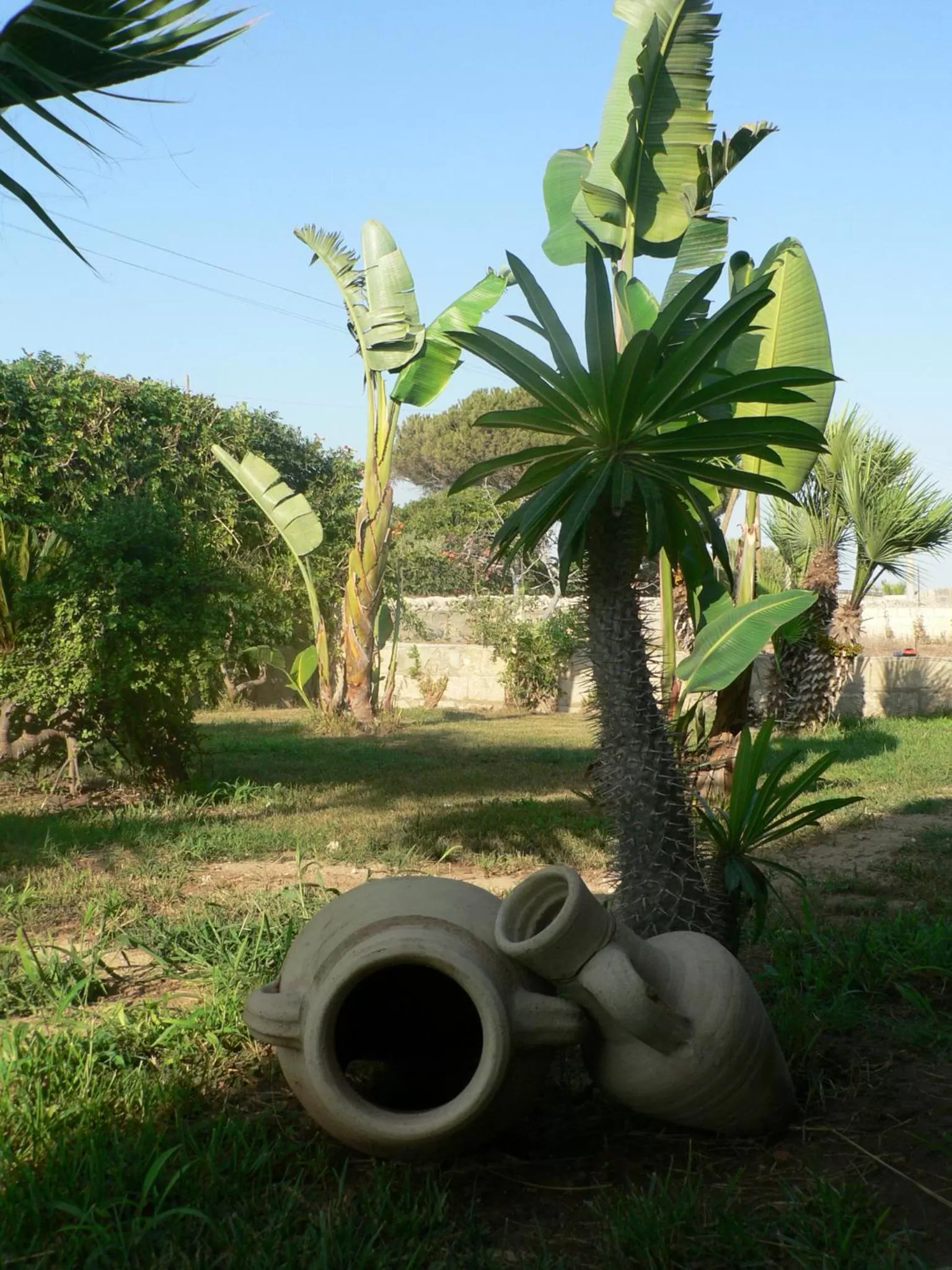 Garden in B&B Villa Francesco