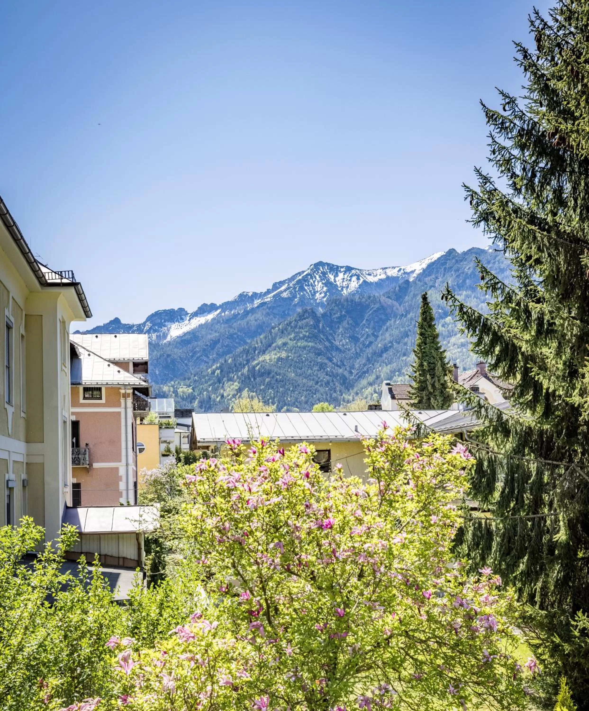 Mountain view in Hotel Am Rupertuspark
