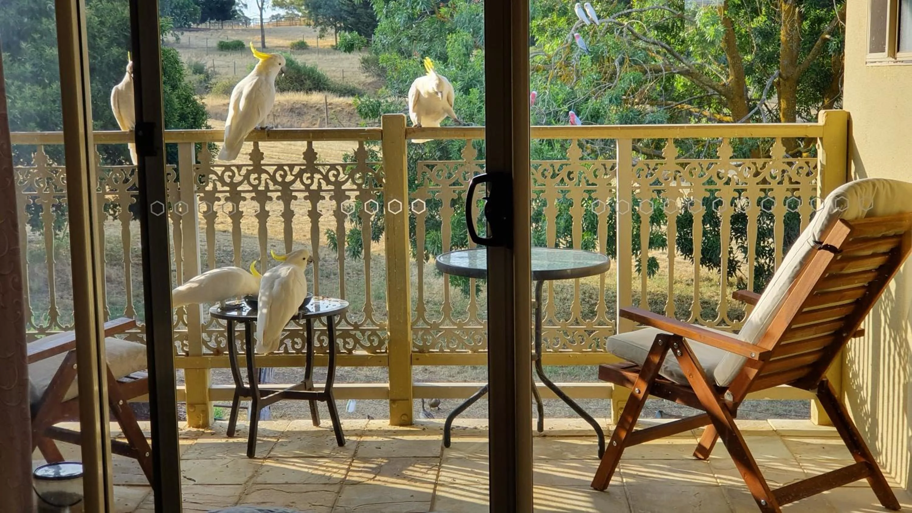 Patio in Amble at Hahndorf
