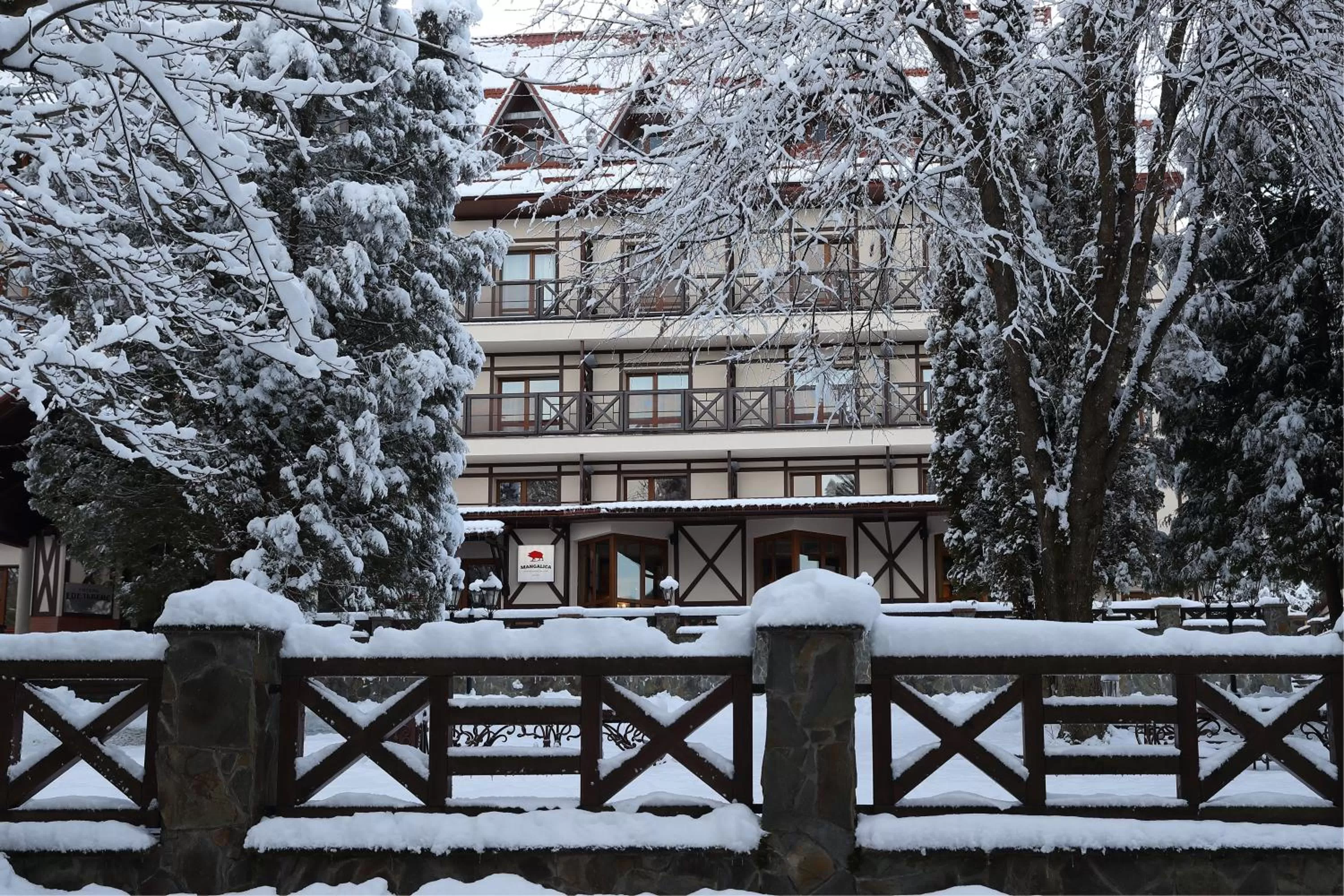 Property building in Edelweiss