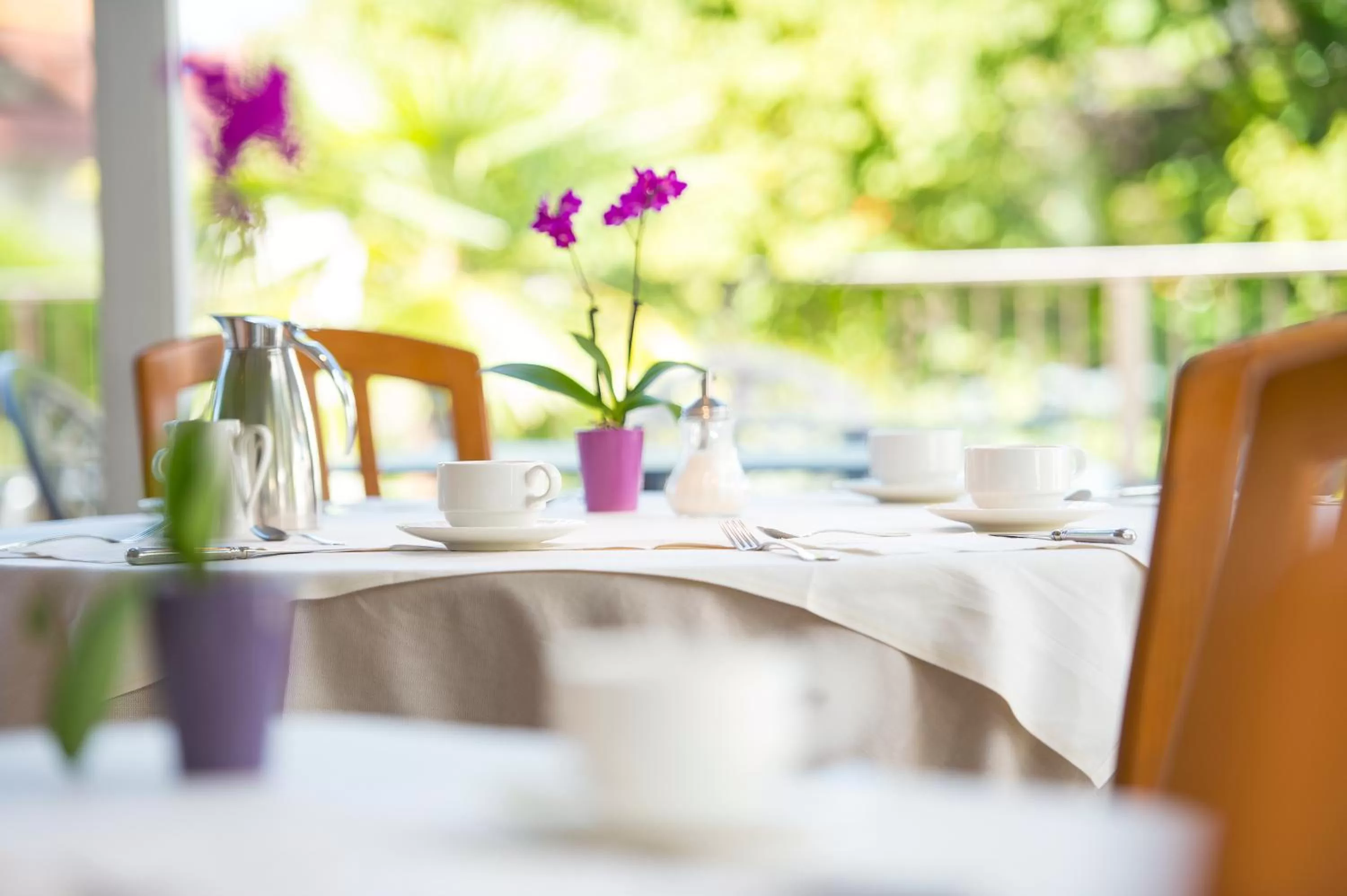 Restaurant/places to eat in Hotel CampingPark Steiner