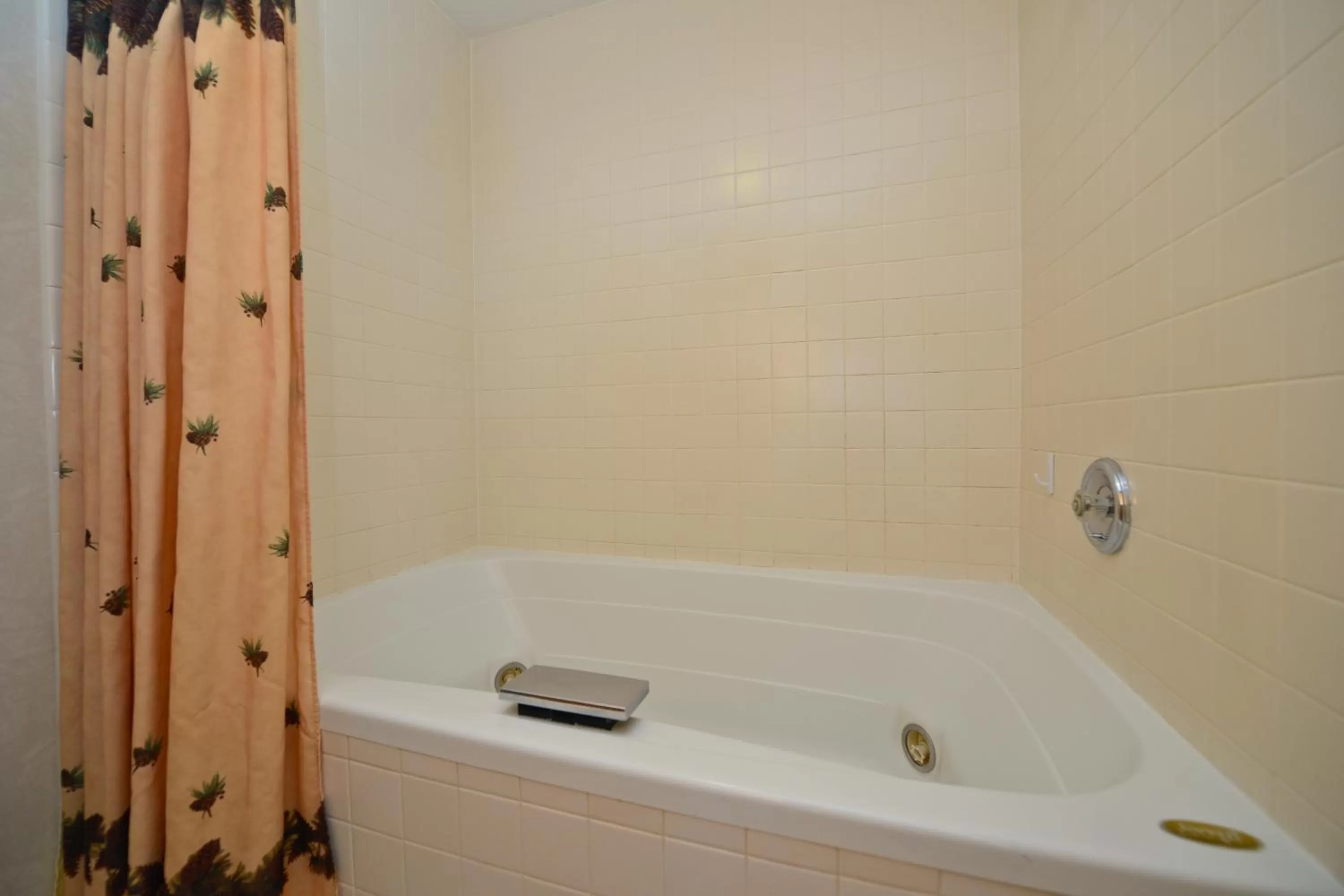 Bathroom in Kelly Inn West Yellowstone