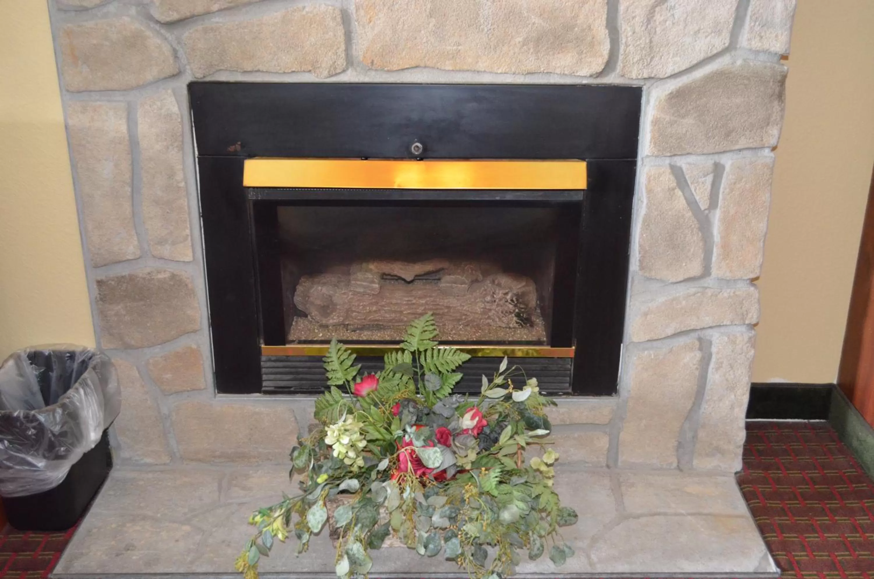 Other in Baymont by Wyndham Pigeon Forge near Island Drive