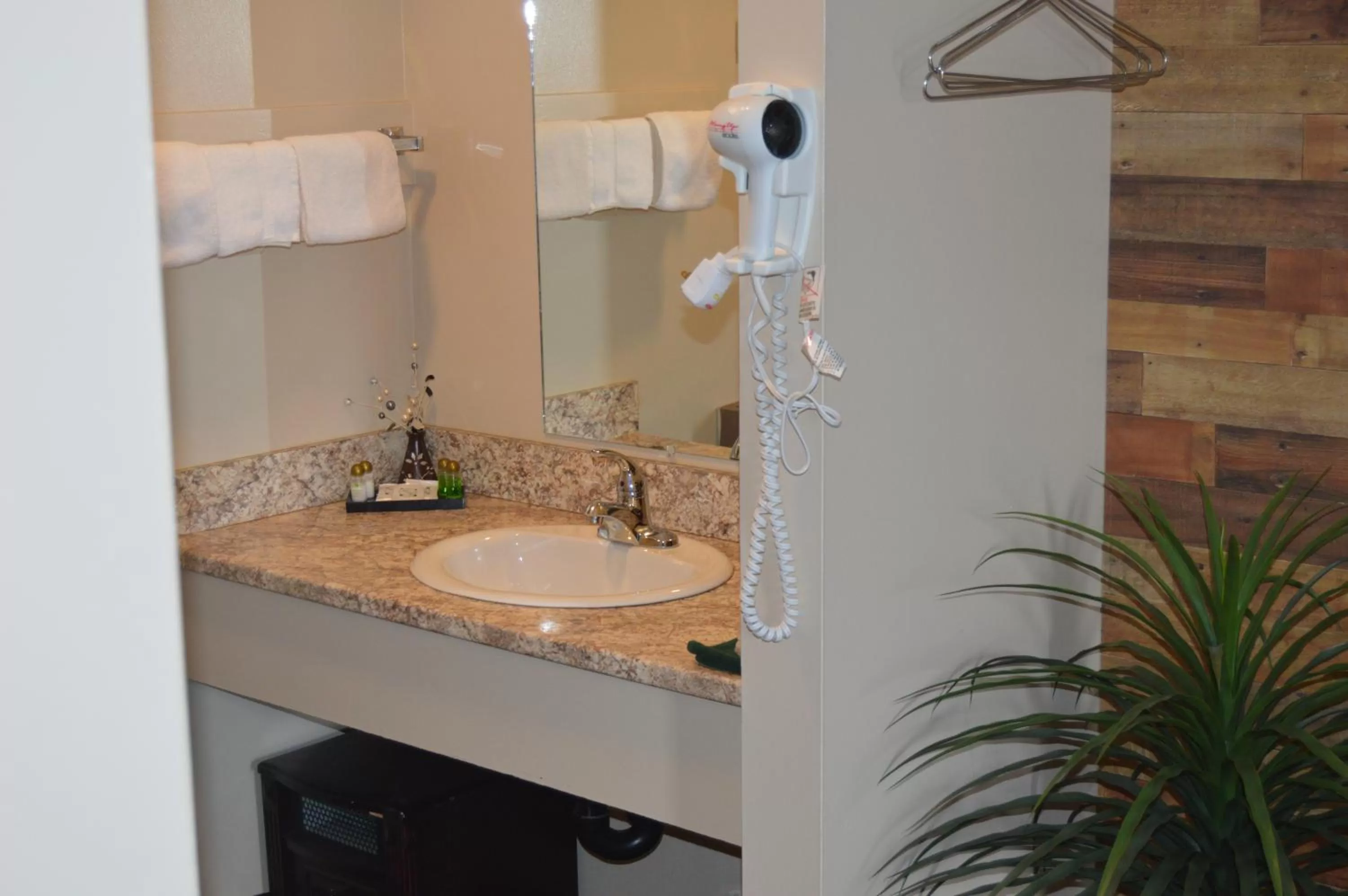 Bathroom in Wheel Inn Motel