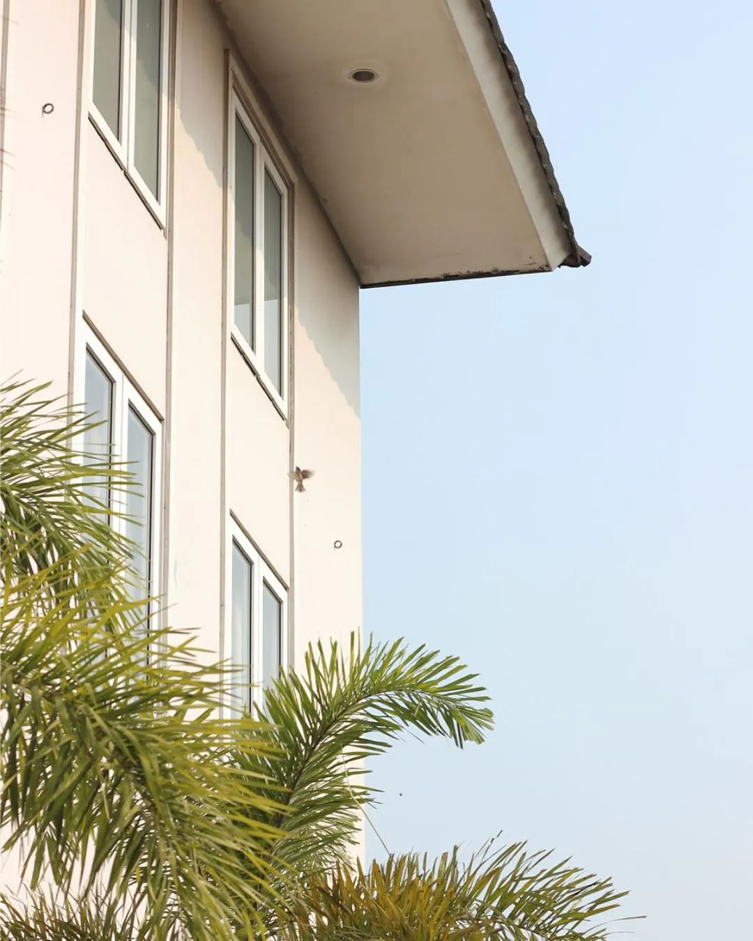 Property building in Bale Ocasa by Behomy