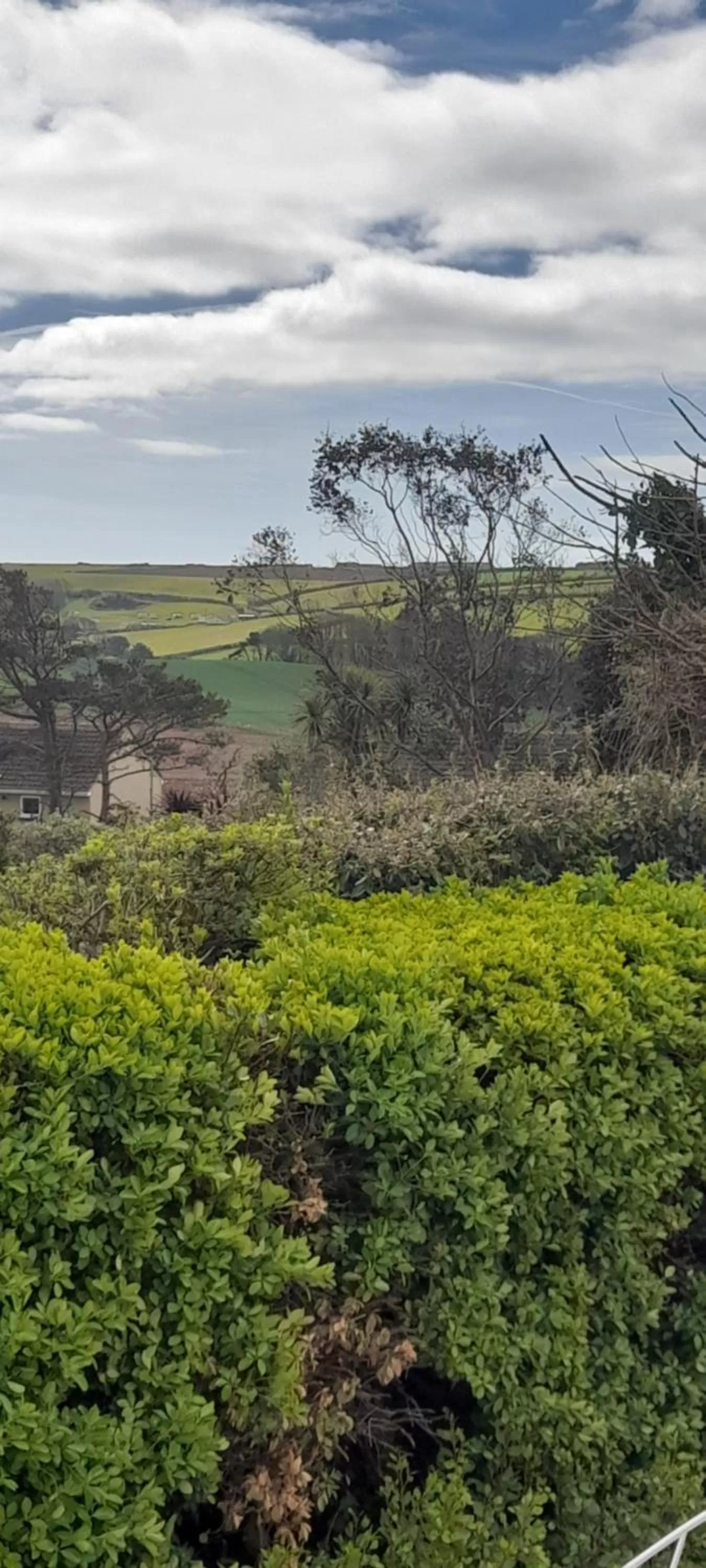 Little Orchard House