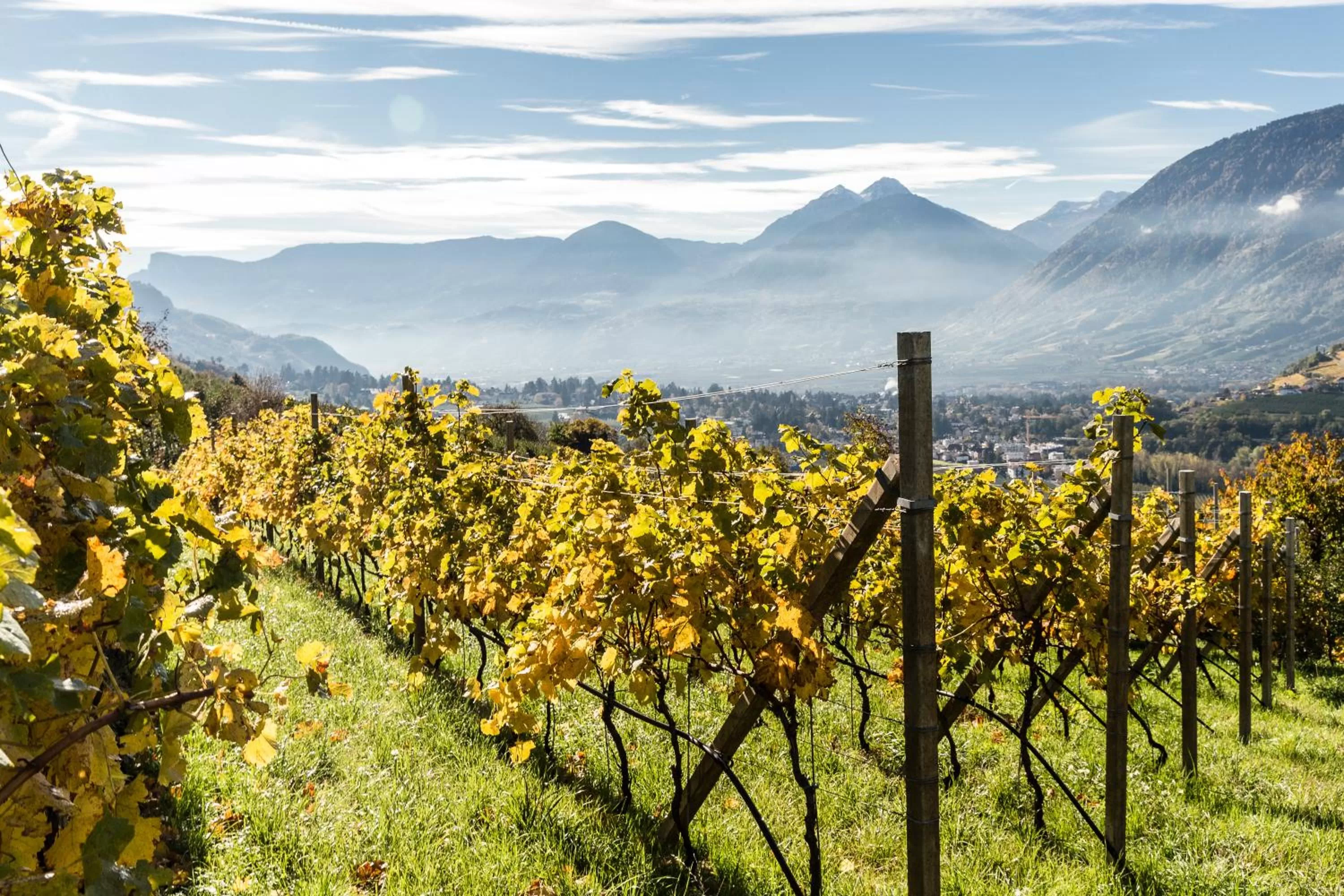 Staff in Hotel Rosengarten (Schenna Resort)