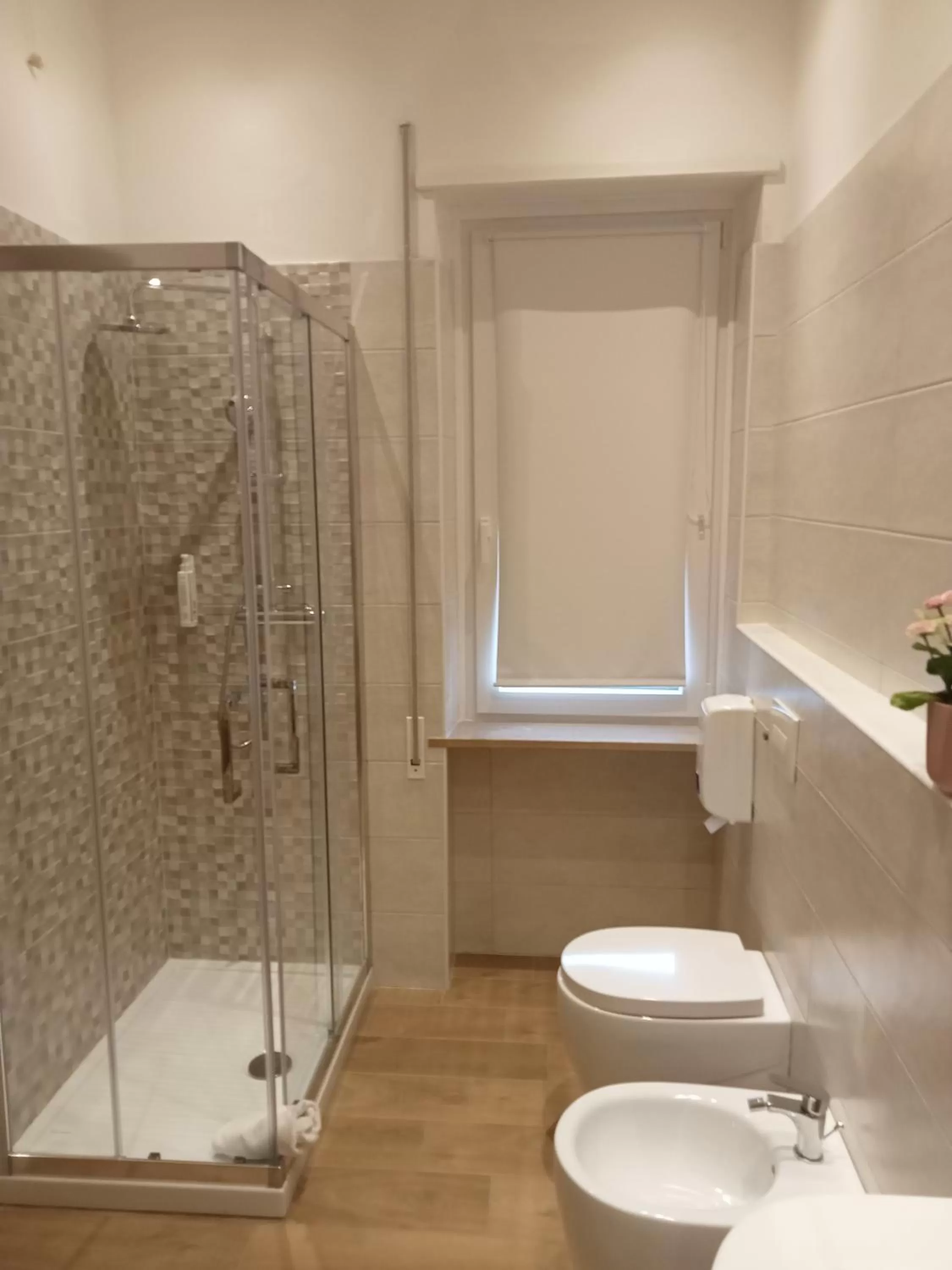 Shower in Hotel Porta Rivera