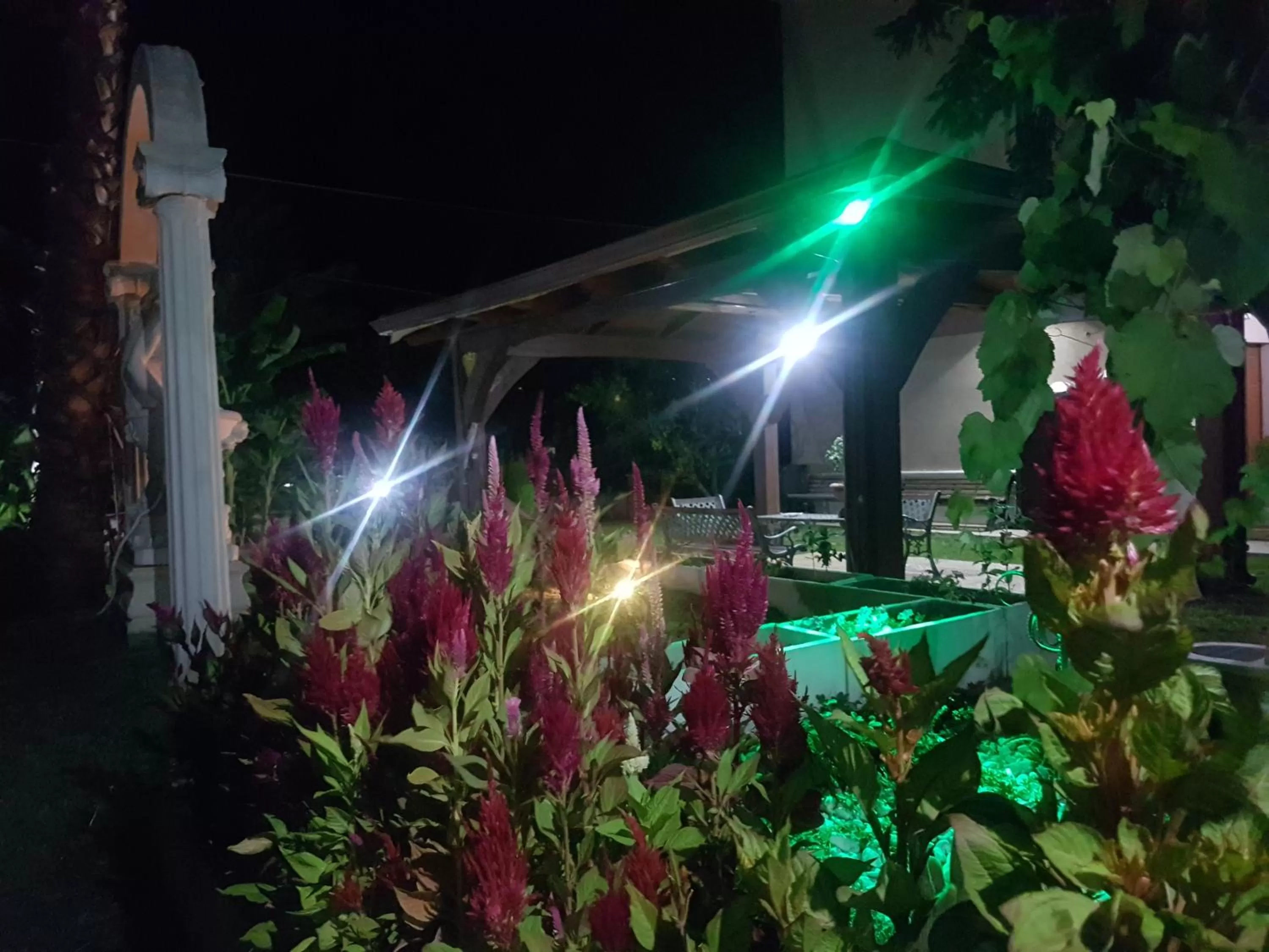 Garden in B&B Magna Grecia