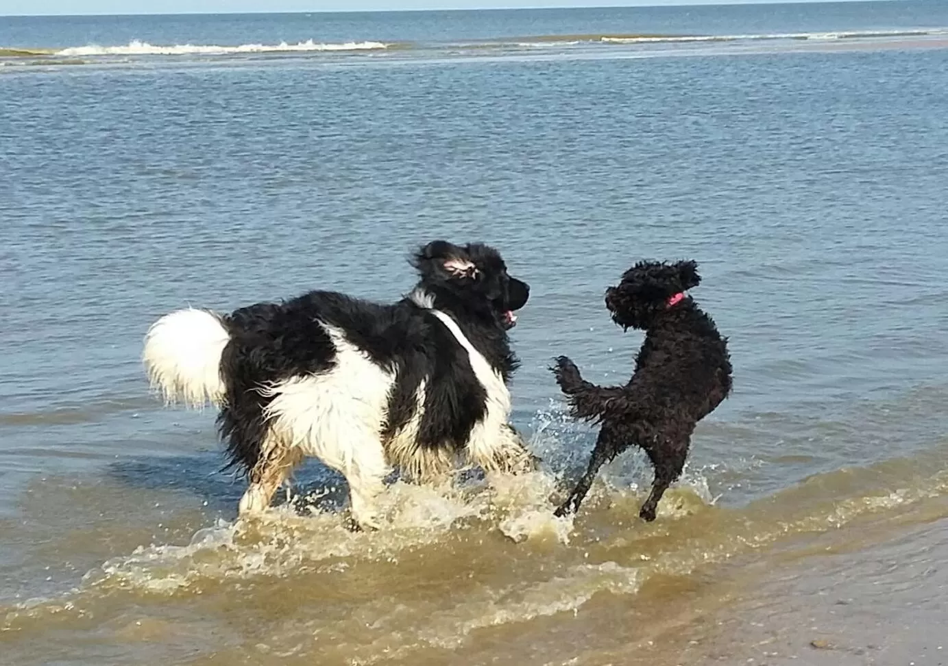 Beach in Hotel Rasch
