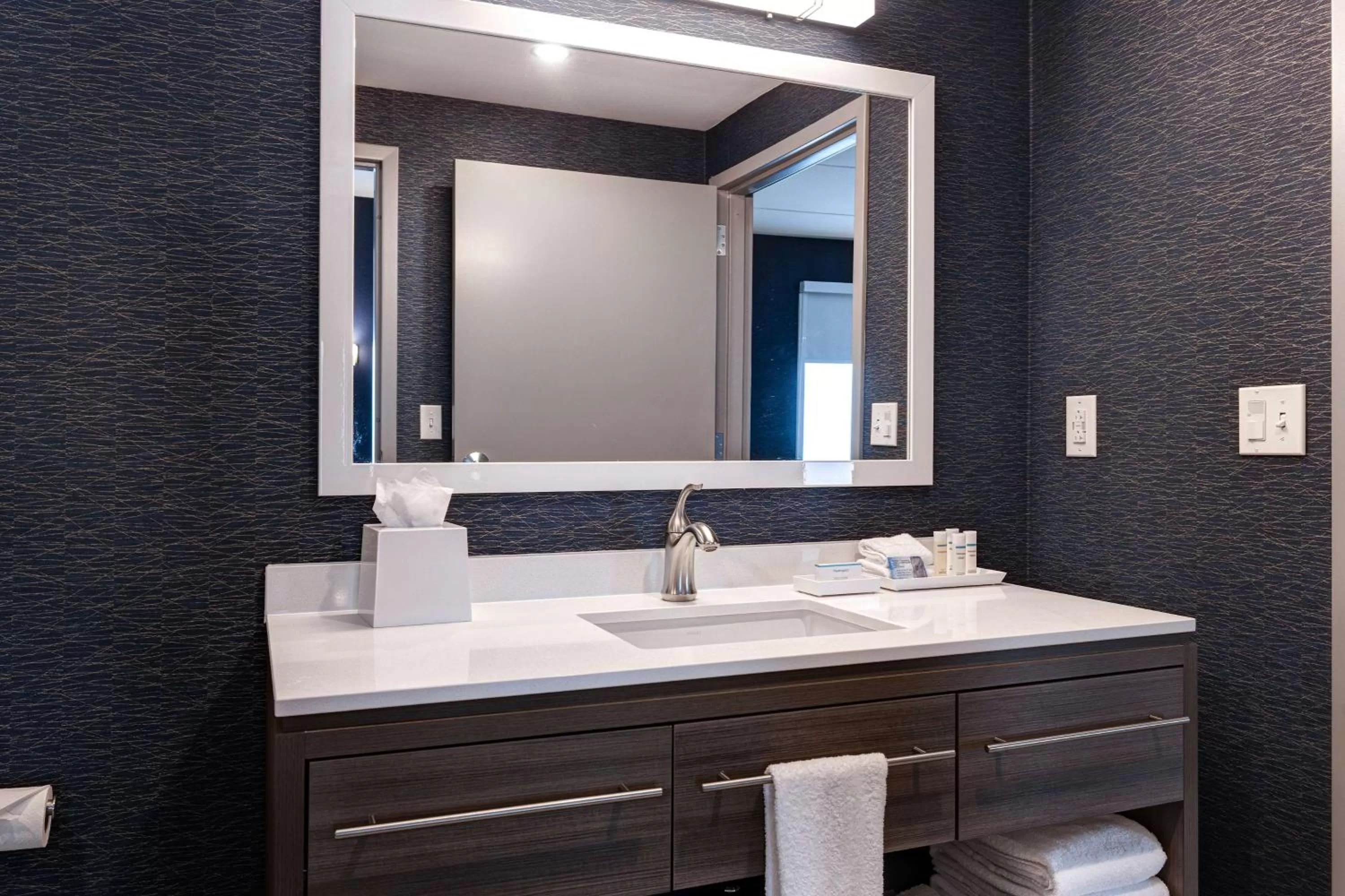 Bathroom in Home2 Suites By Hilton Nashville Downtown-Metrocenter