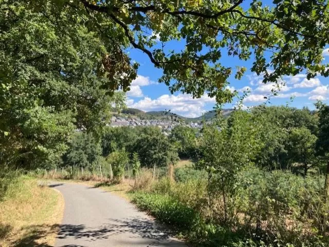 Spring in Bed & Breakfast Weisser Stein