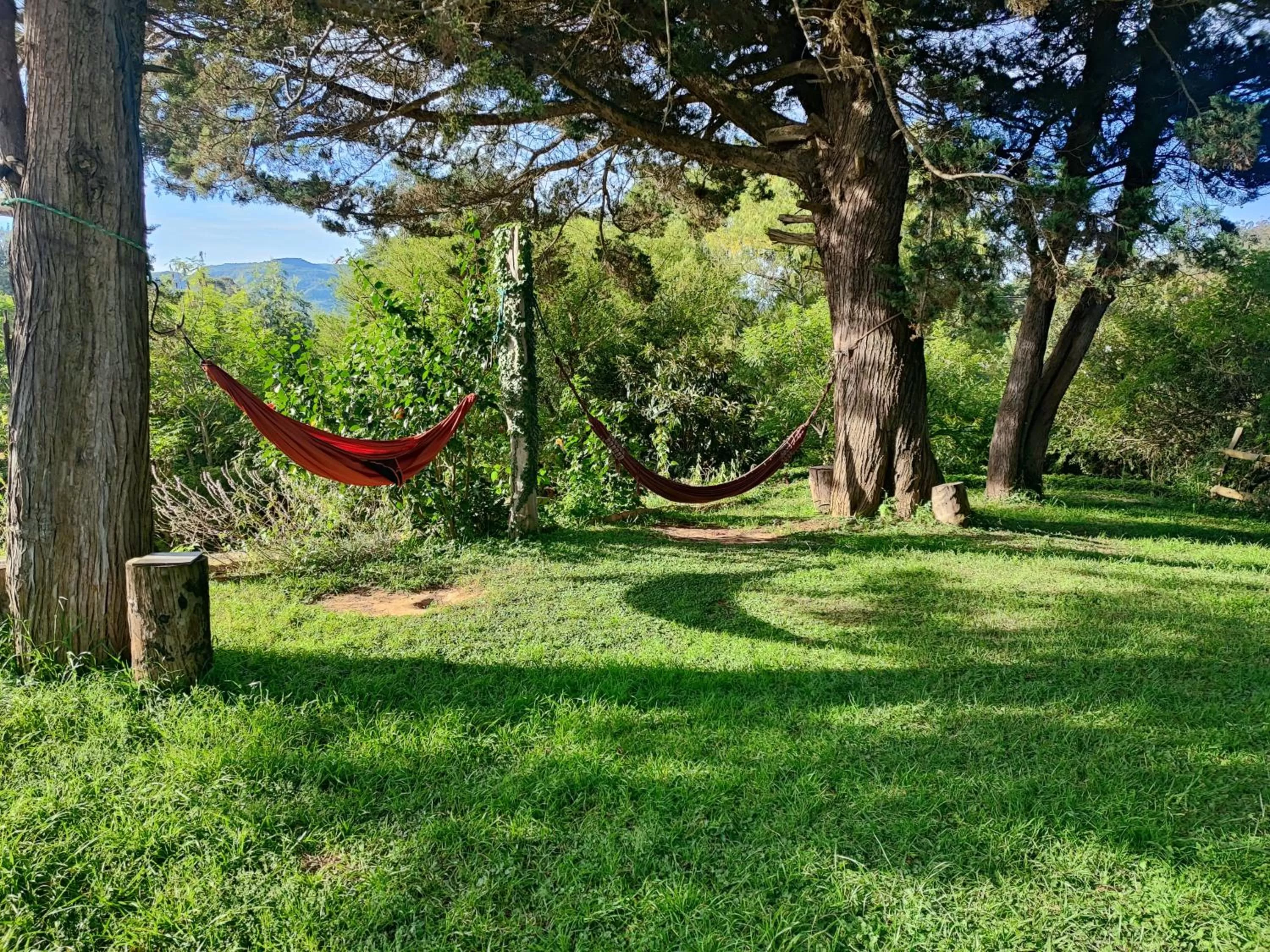 Garden in YVY CASA HOTEL