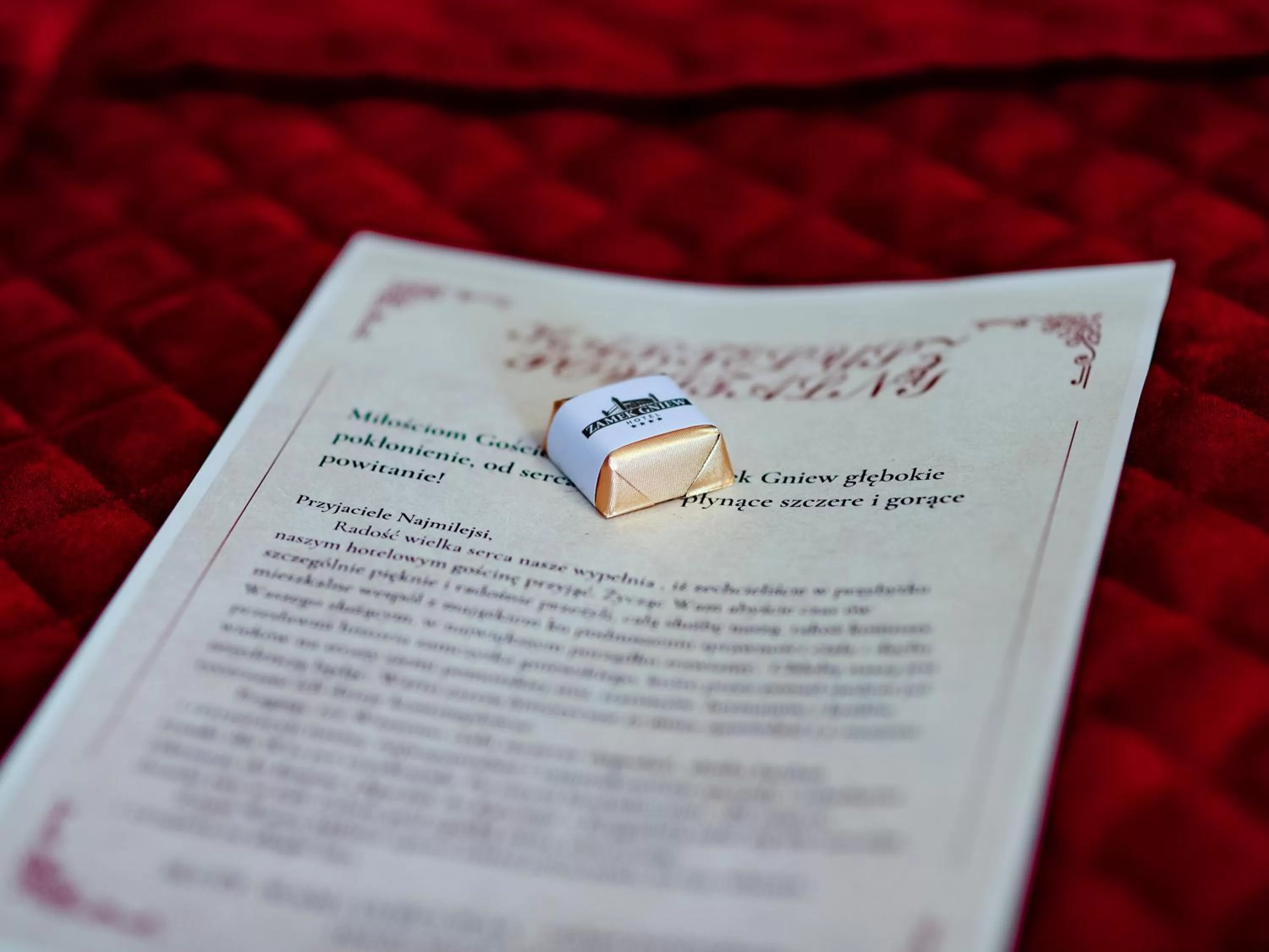 Property logo or sign in Hotel Zamek Gniew