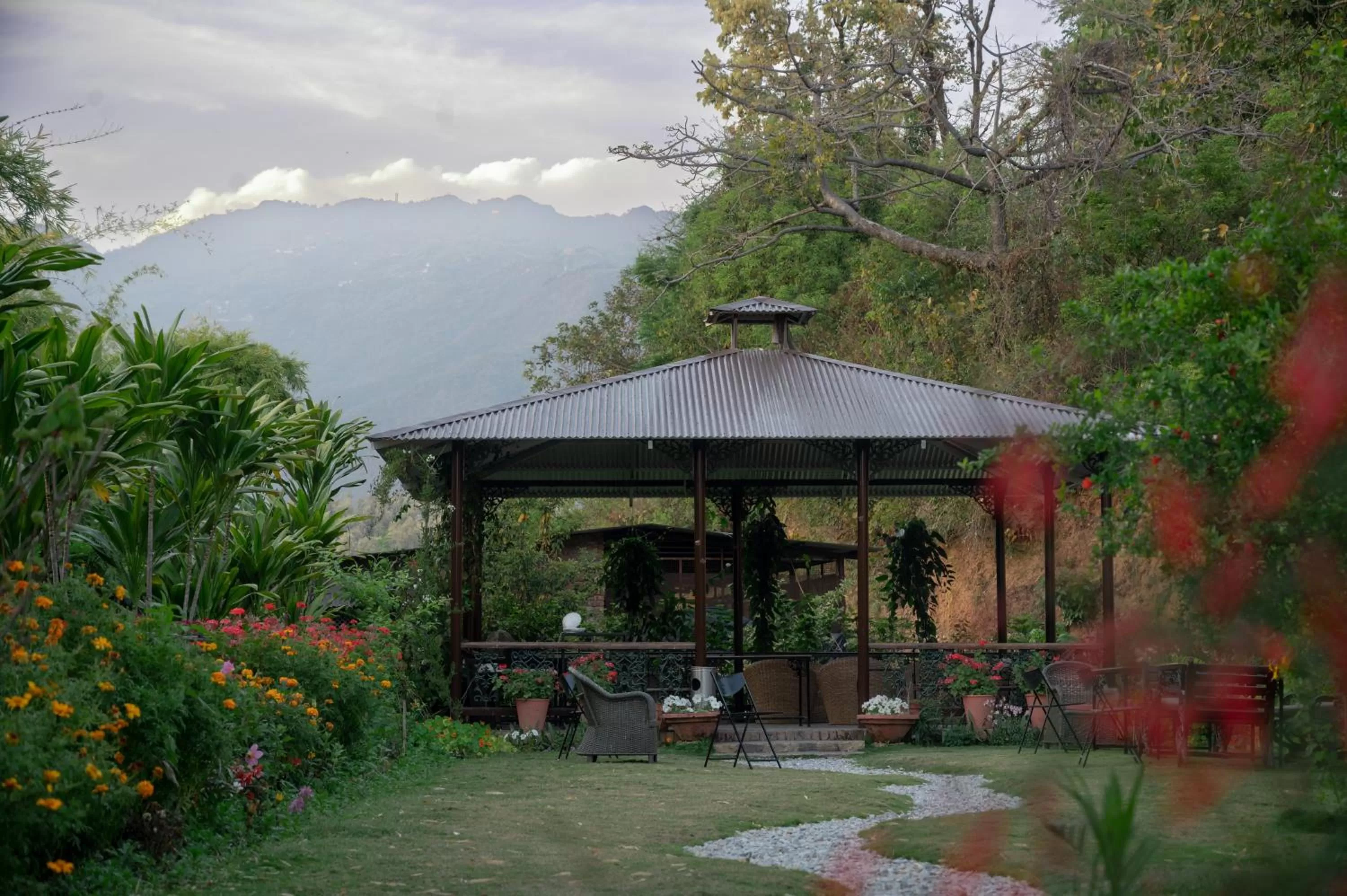 Tree of Life Resort Dehradun Foothills