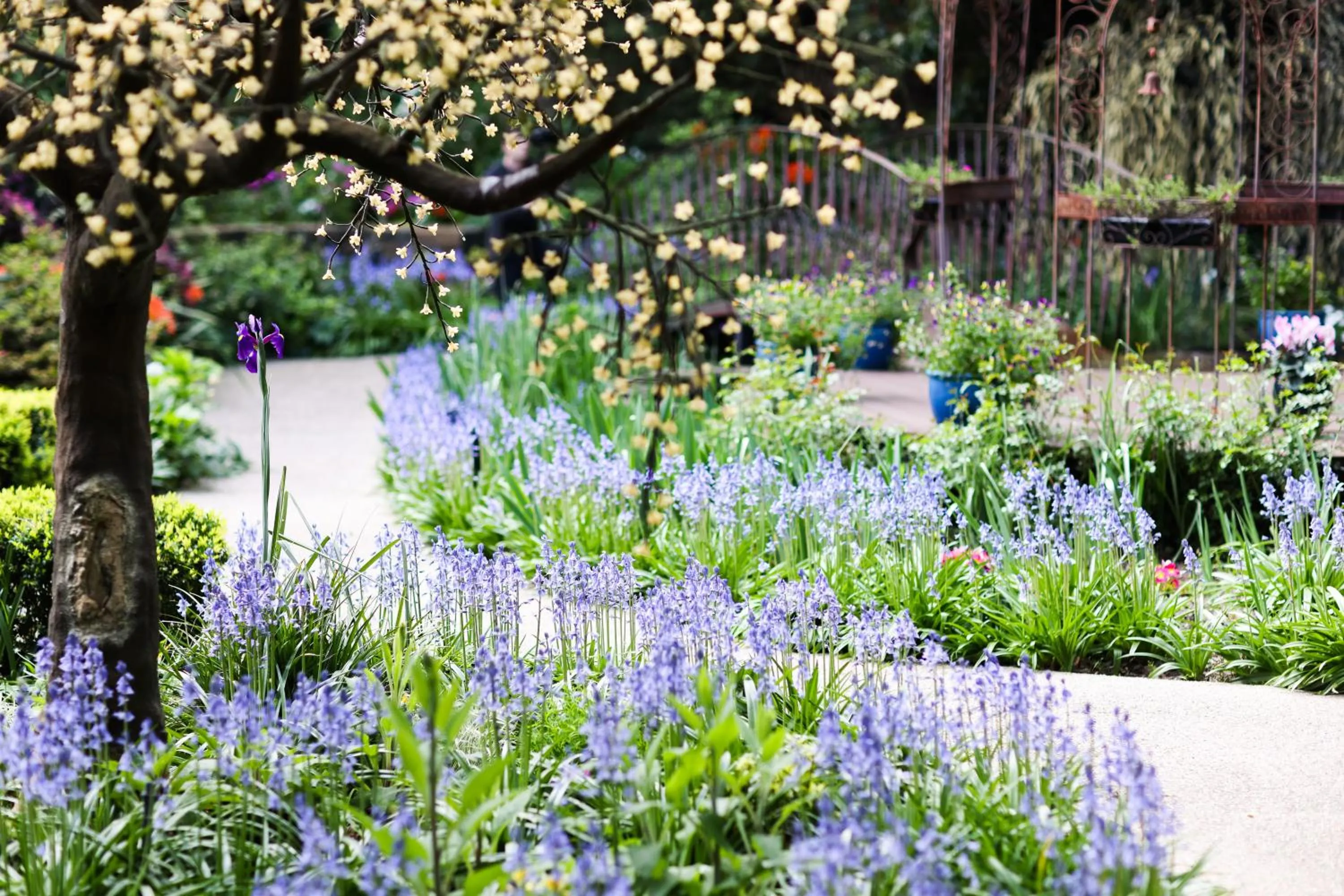 Garden in Elizabethan Lodge