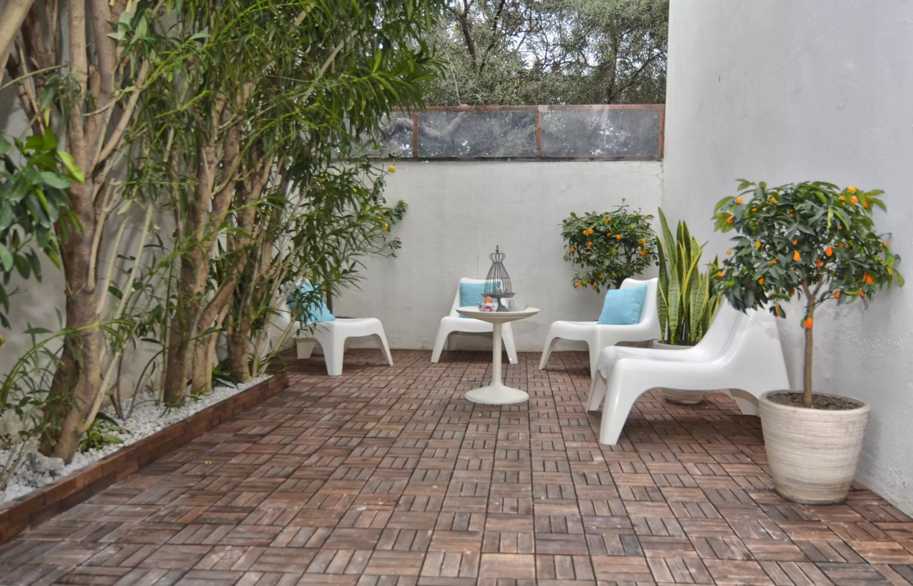 Garden in Il Vicolo B&B