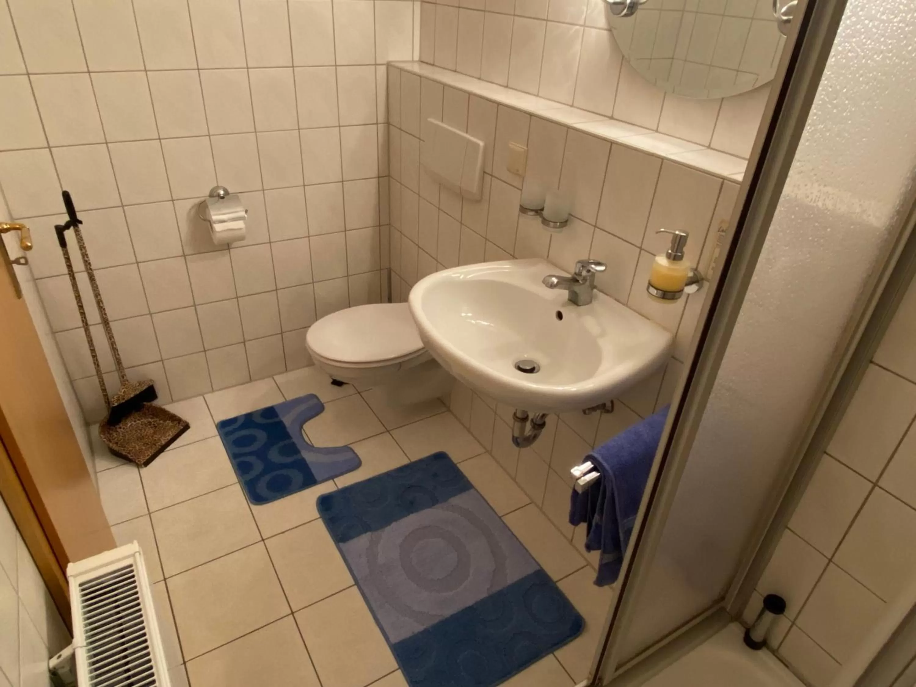 Shower in Hotel Bielatal